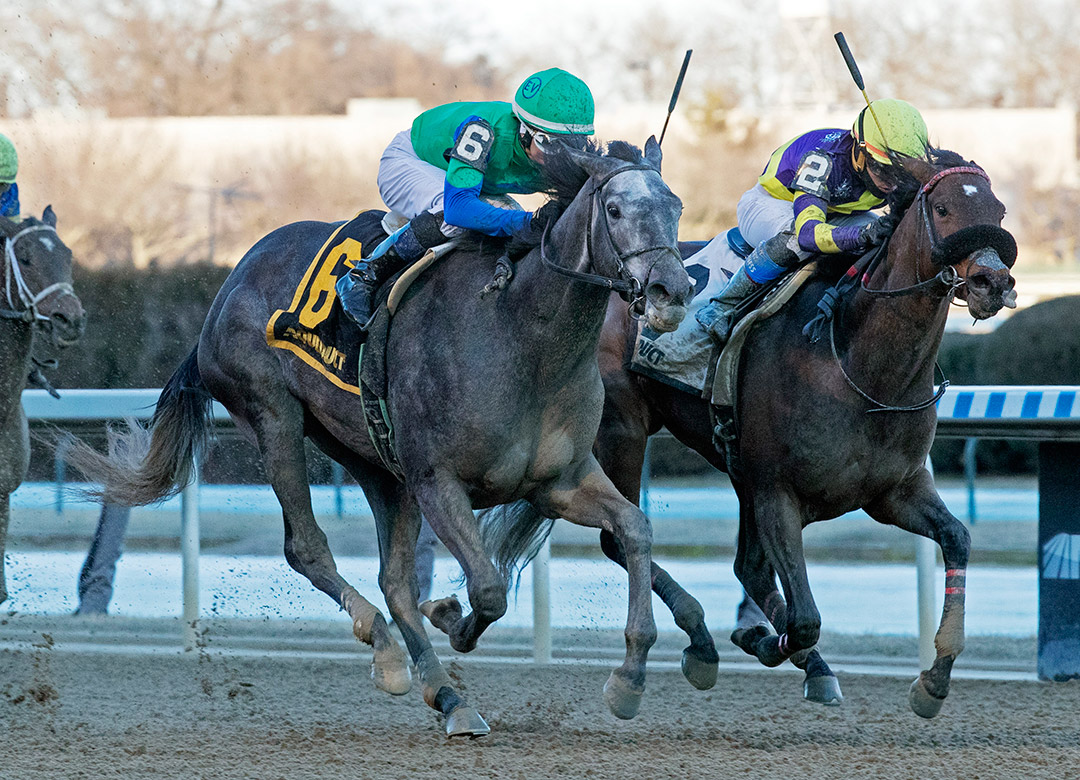 Water White (left) wins the 2020 Busher Stakes at Aqueduct Racetrack