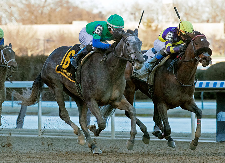 Water White (left) wins the 2020 Busher at Aqueduct Racetrack