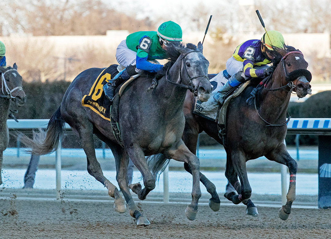 Water White (left) wins the 2020 Busher Stakes at Aqueduct
