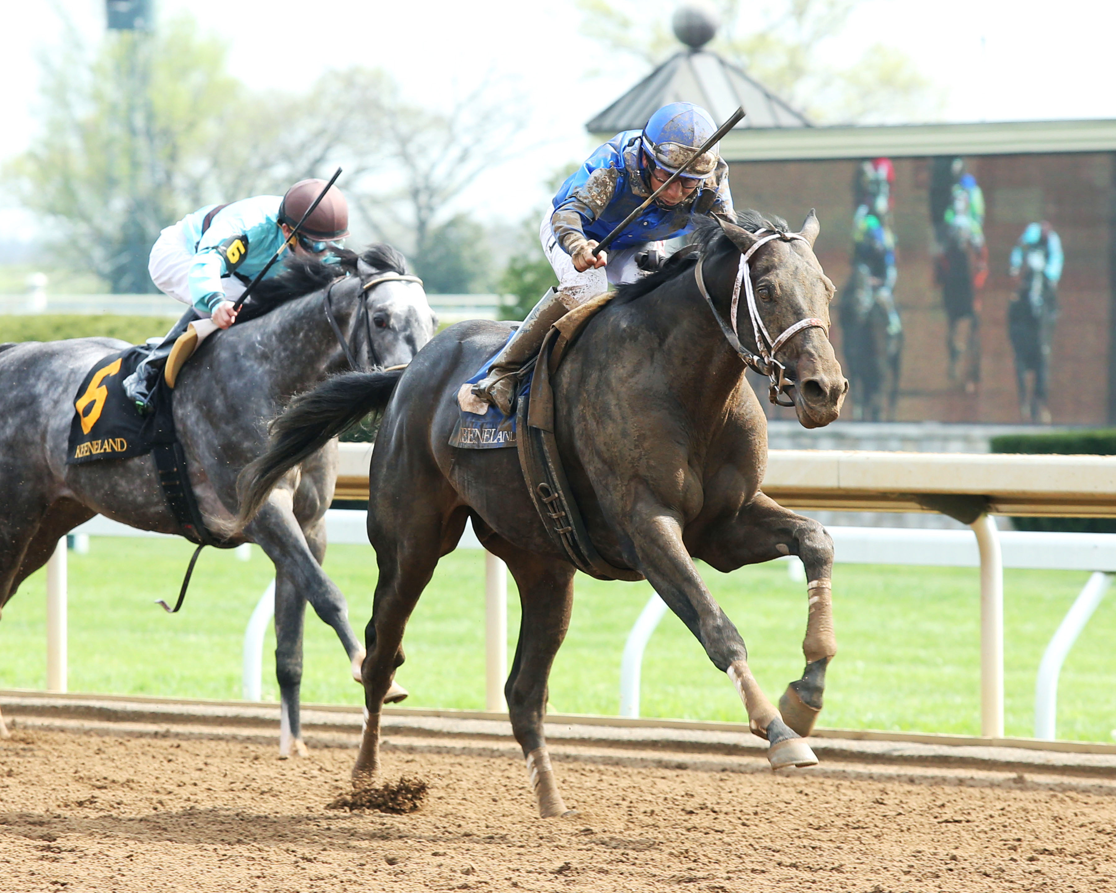 Watershed wins the Ben Ali Stakes
