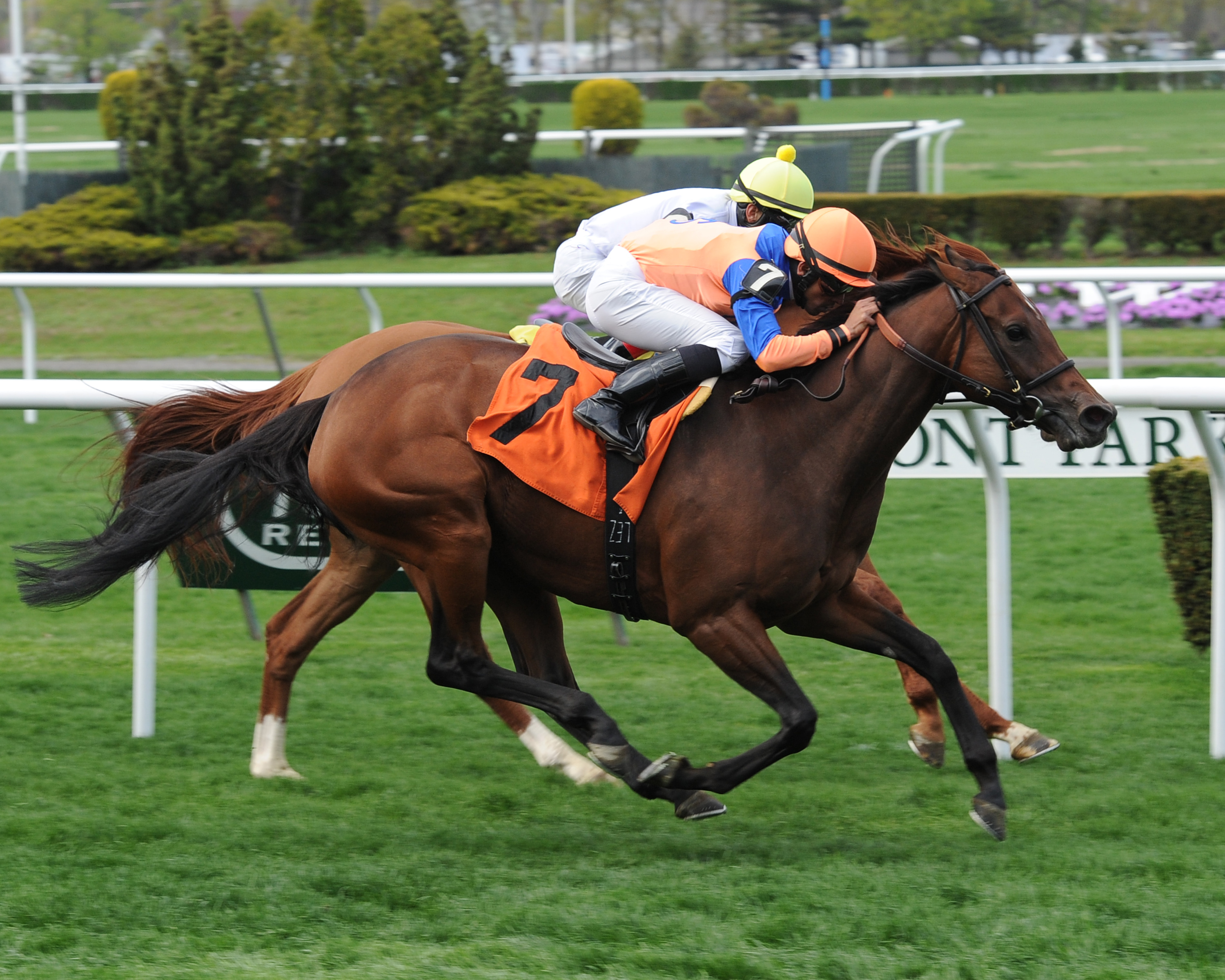 Waterway Run wins the Beaugay Stakes