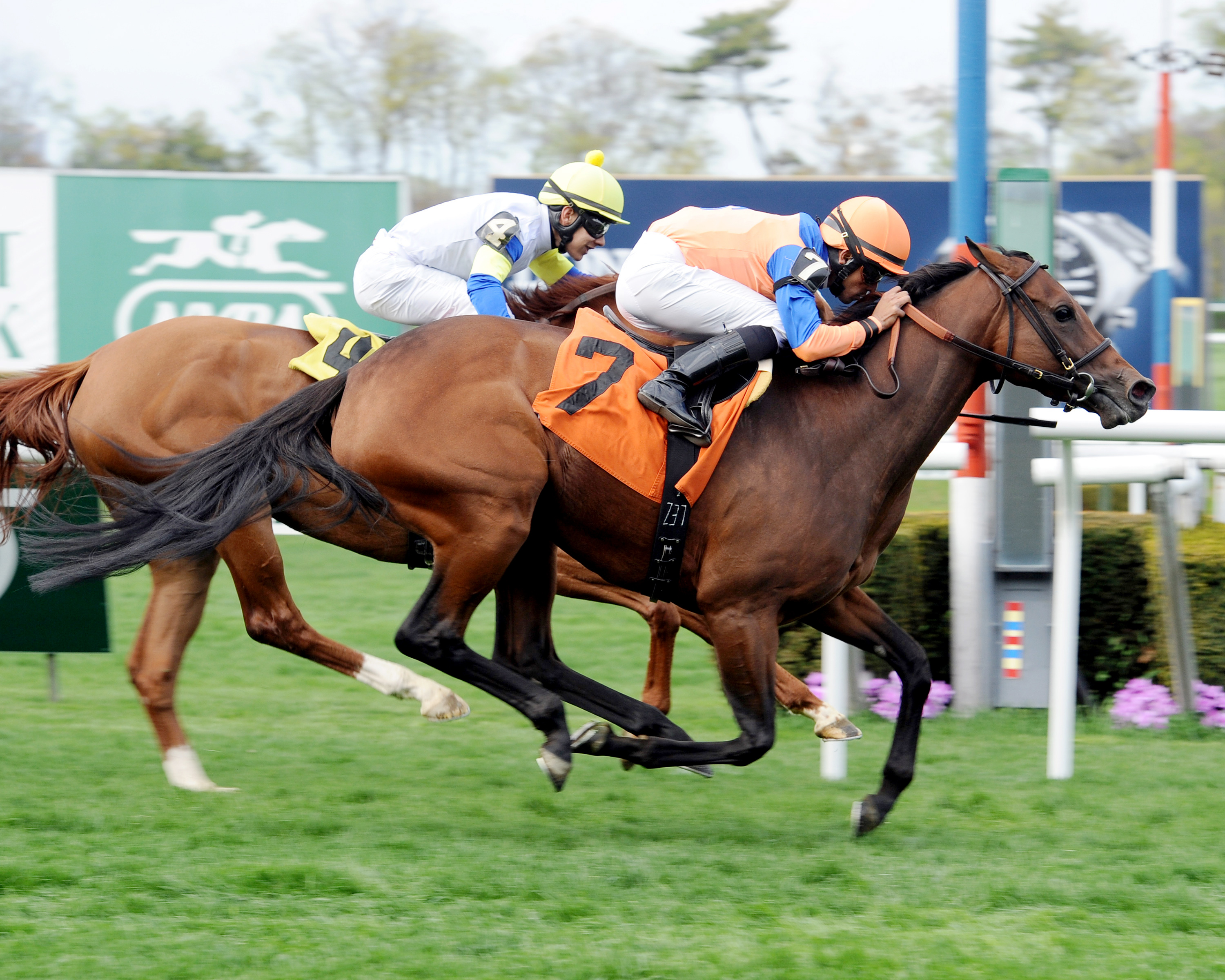 Waterway Run wins the Beaugay Stakes