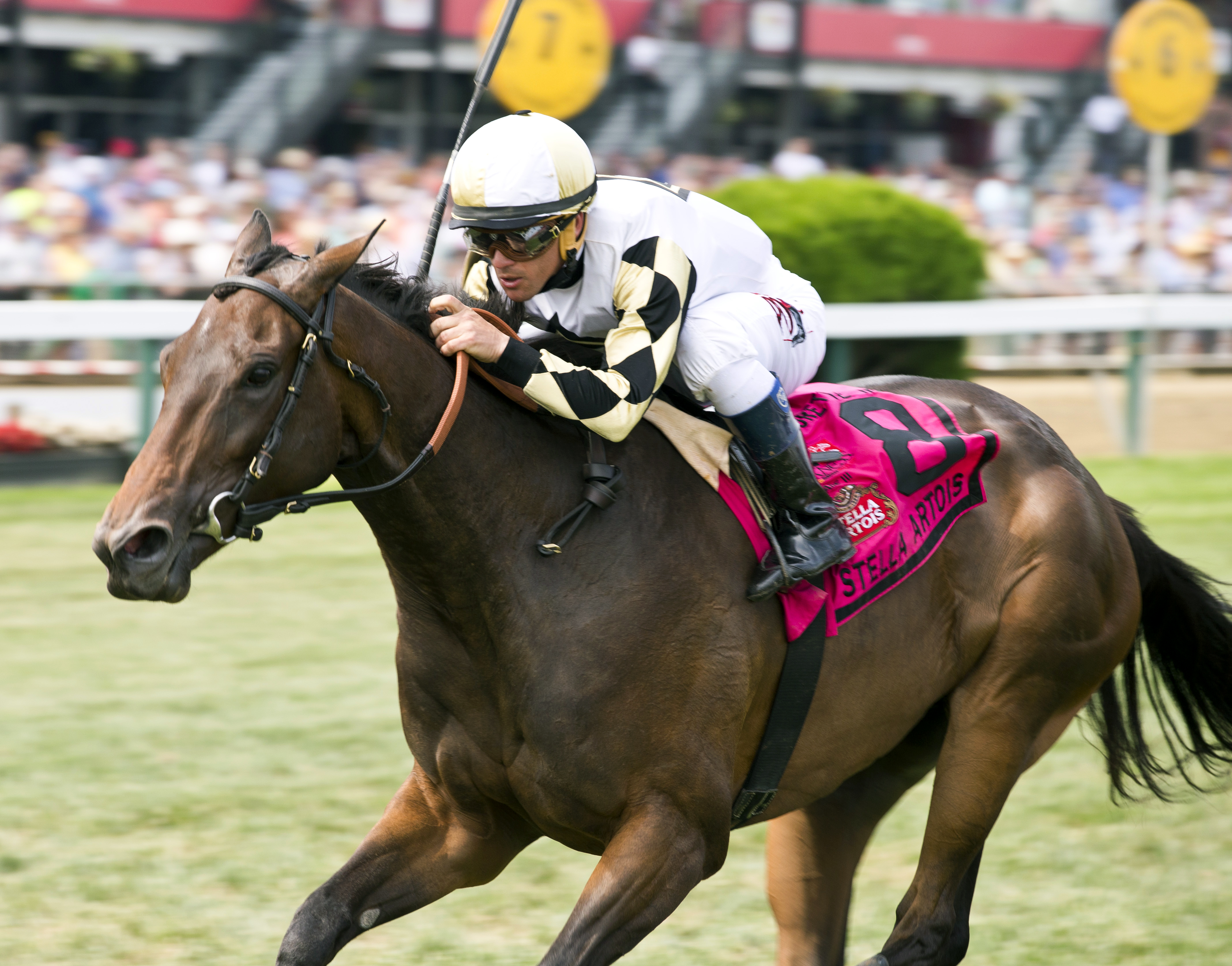 Watsdachances wins the Gallorette Handicap