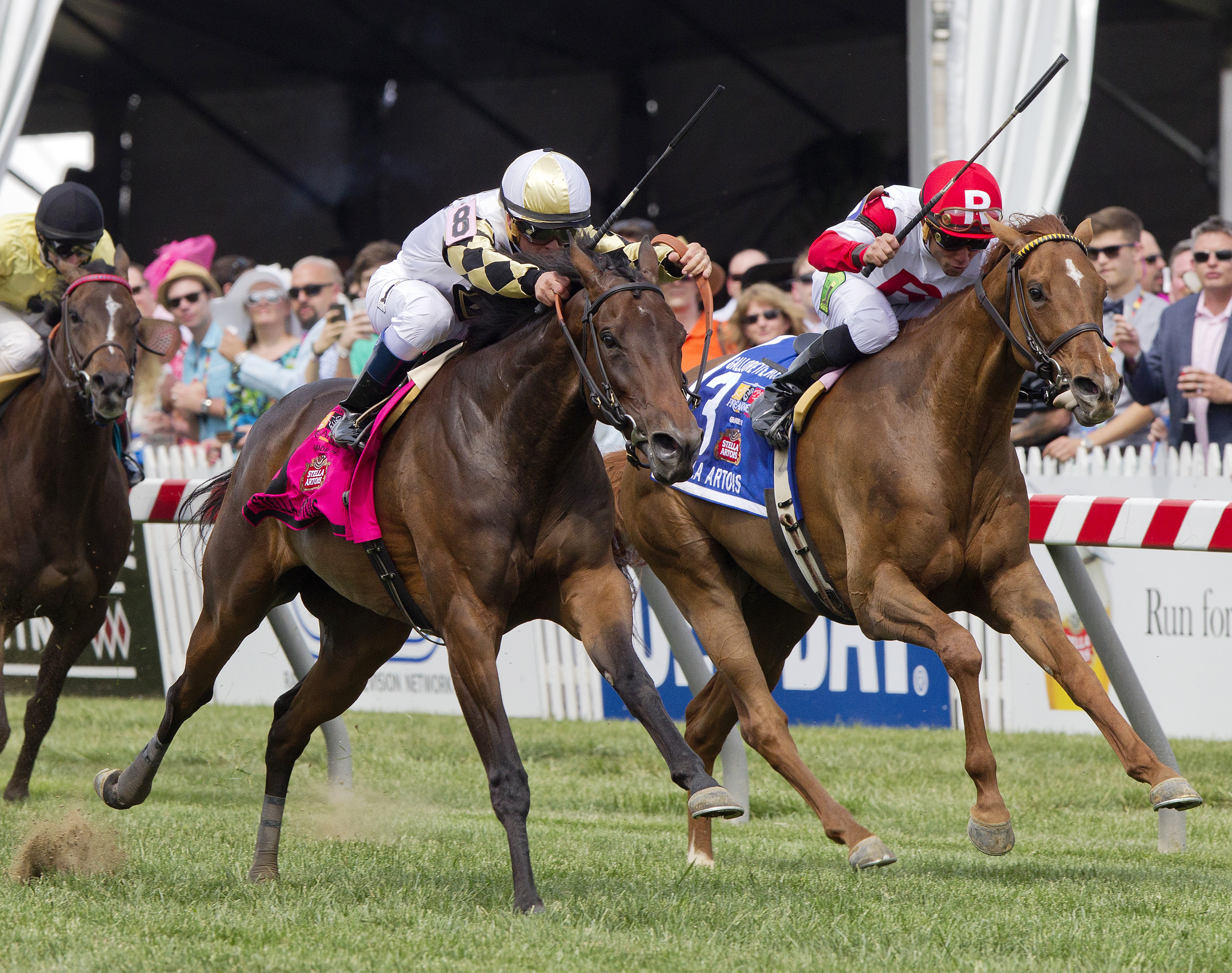 Emotional Kitten finishes second in the Gallorette Handicap