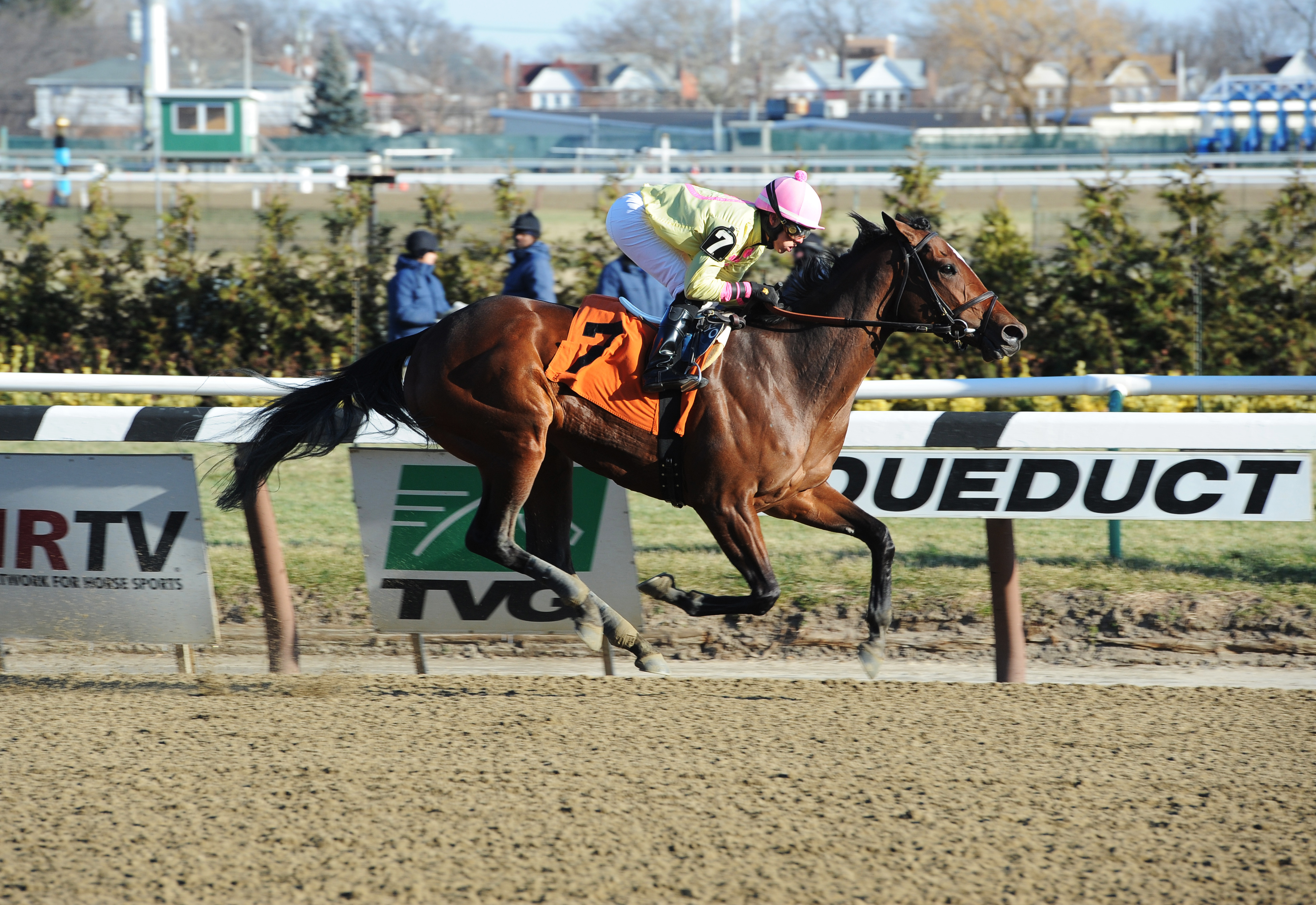 Wavell Avenue wins a claiming race