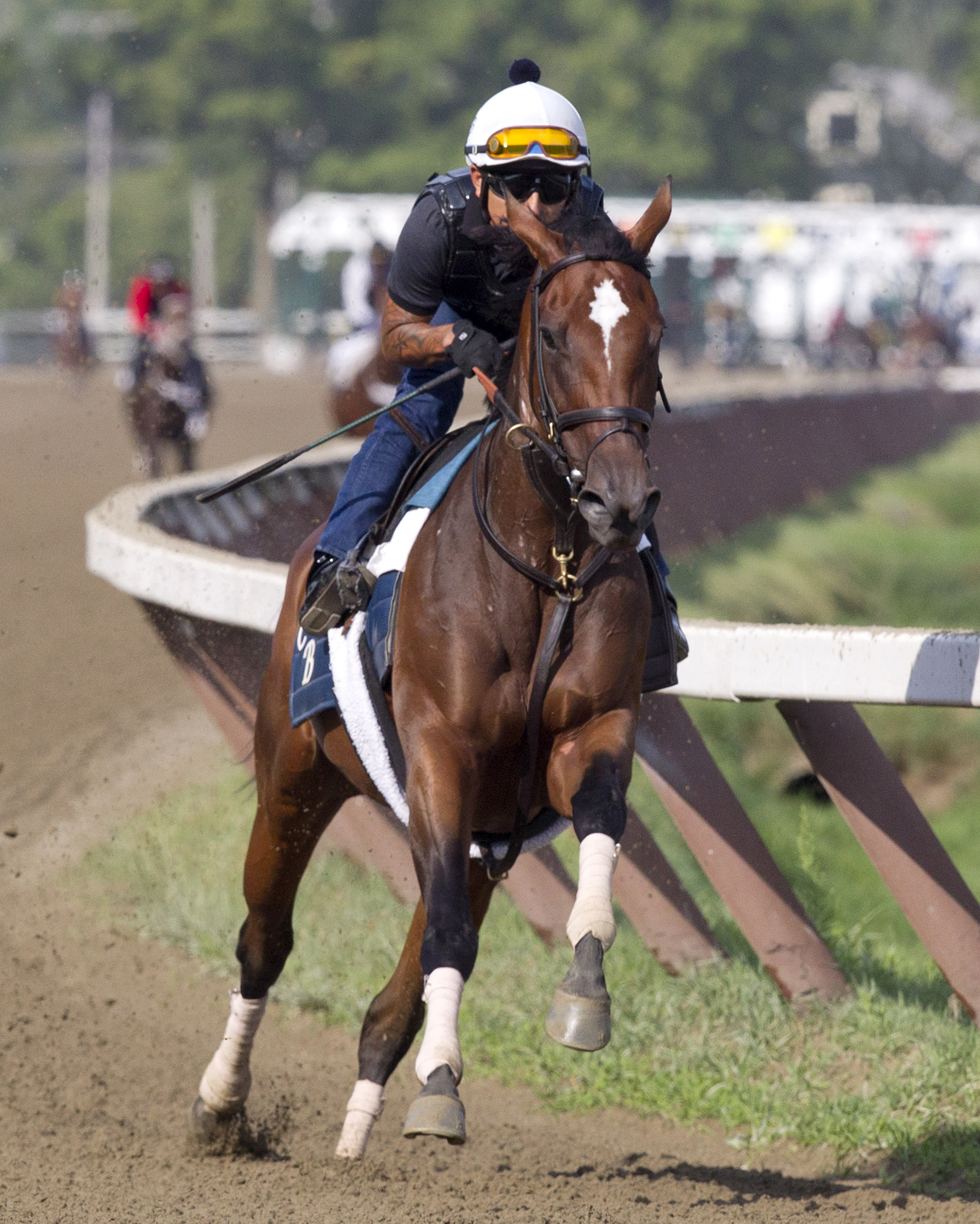 Wavell Avenue trains at Saratoga on July 28