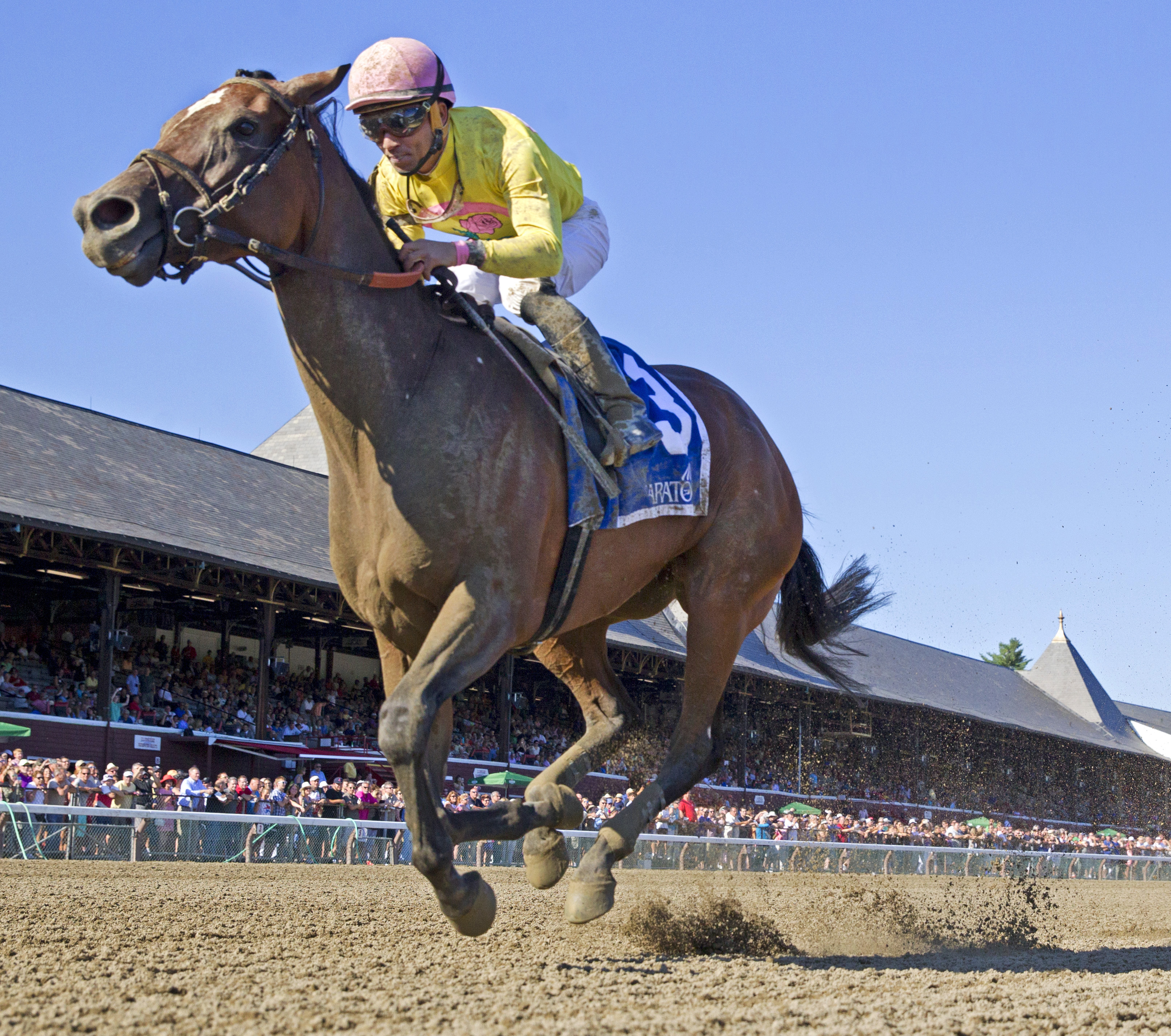 Wavell Avenue wins the Shine Again Stakes