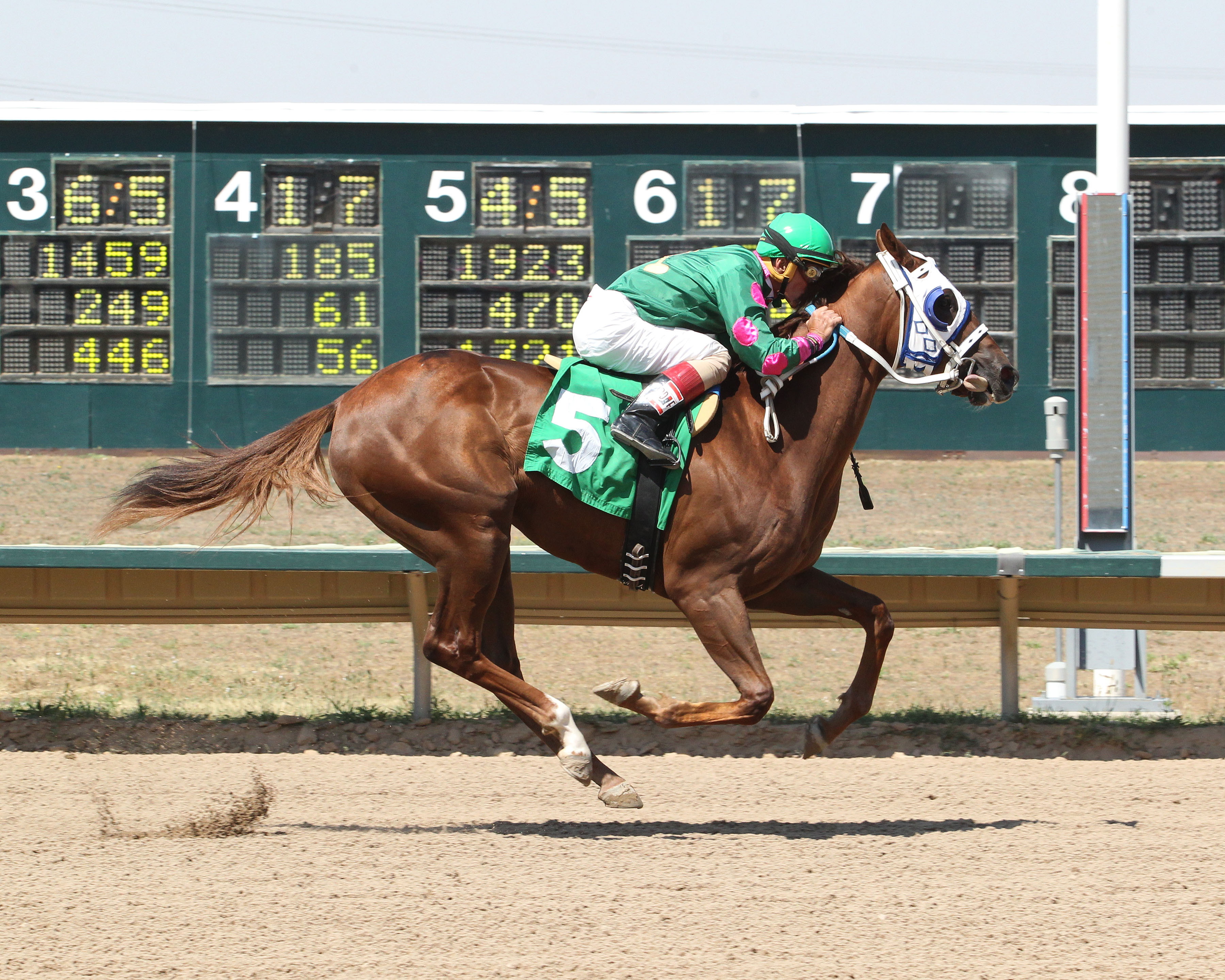 Way Out West wins the Silver Cup Futurity
