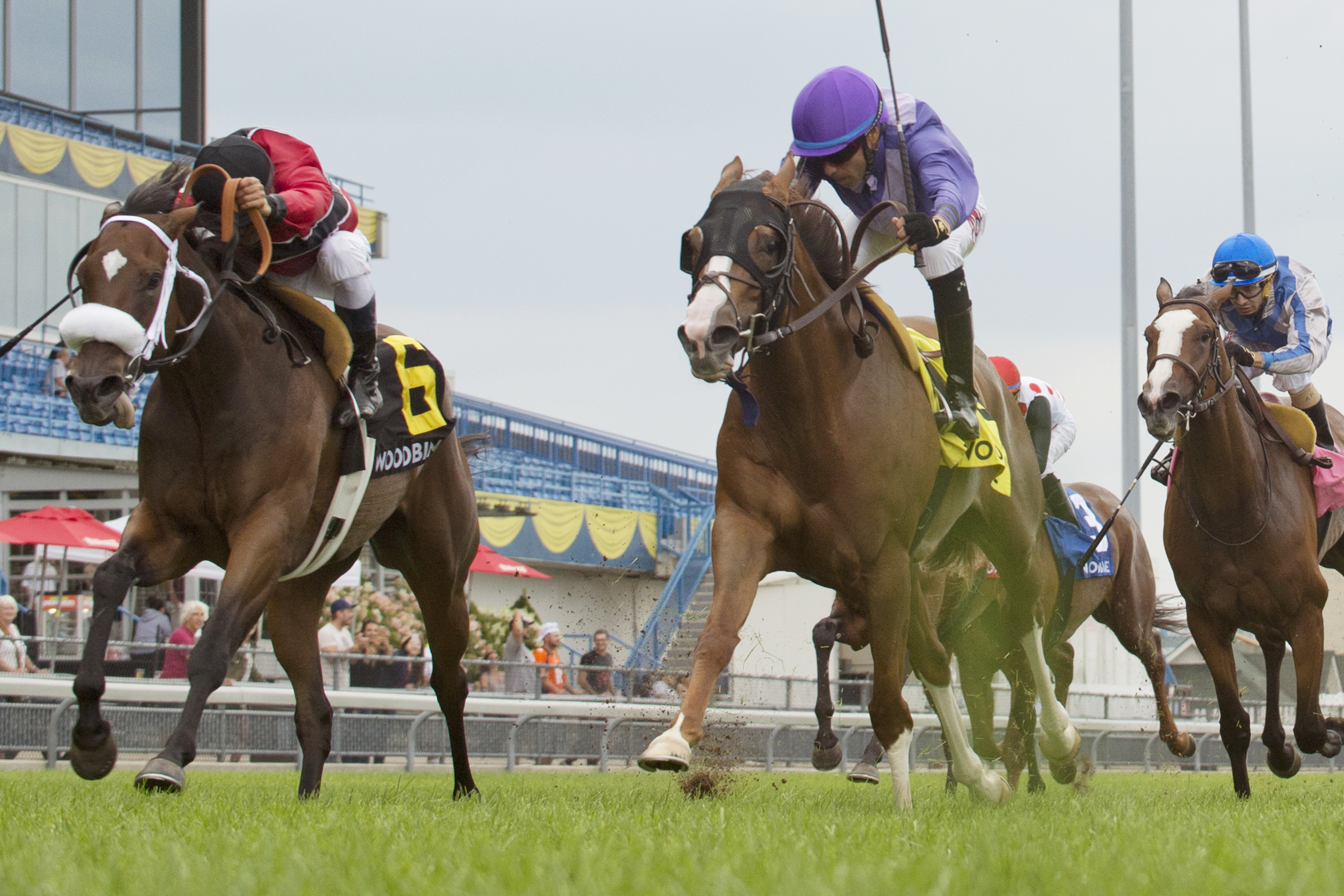 Way to Versailles wins the Royal North Stakes