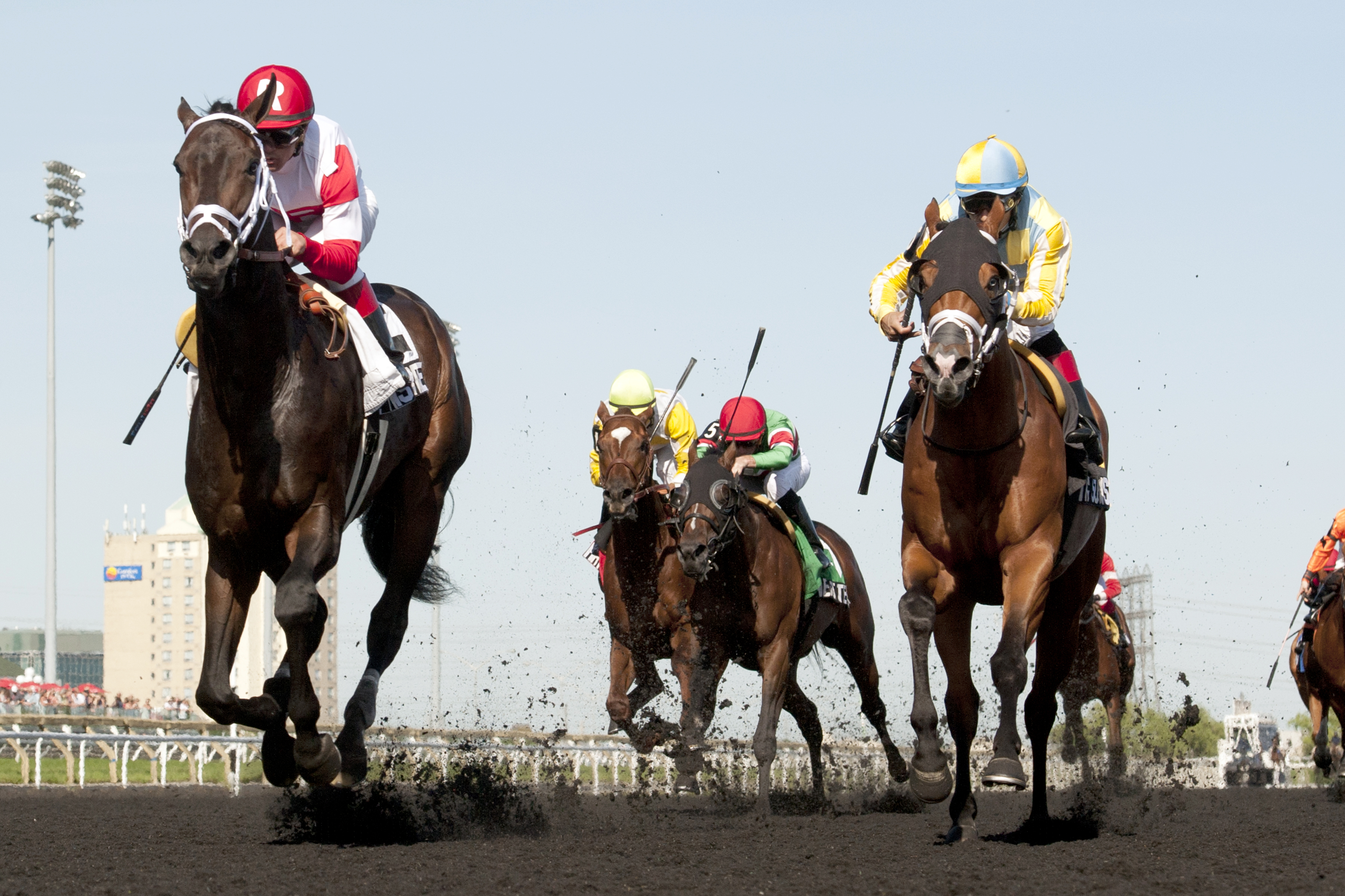 We Miss Artie wins the Plate Trial Stakes