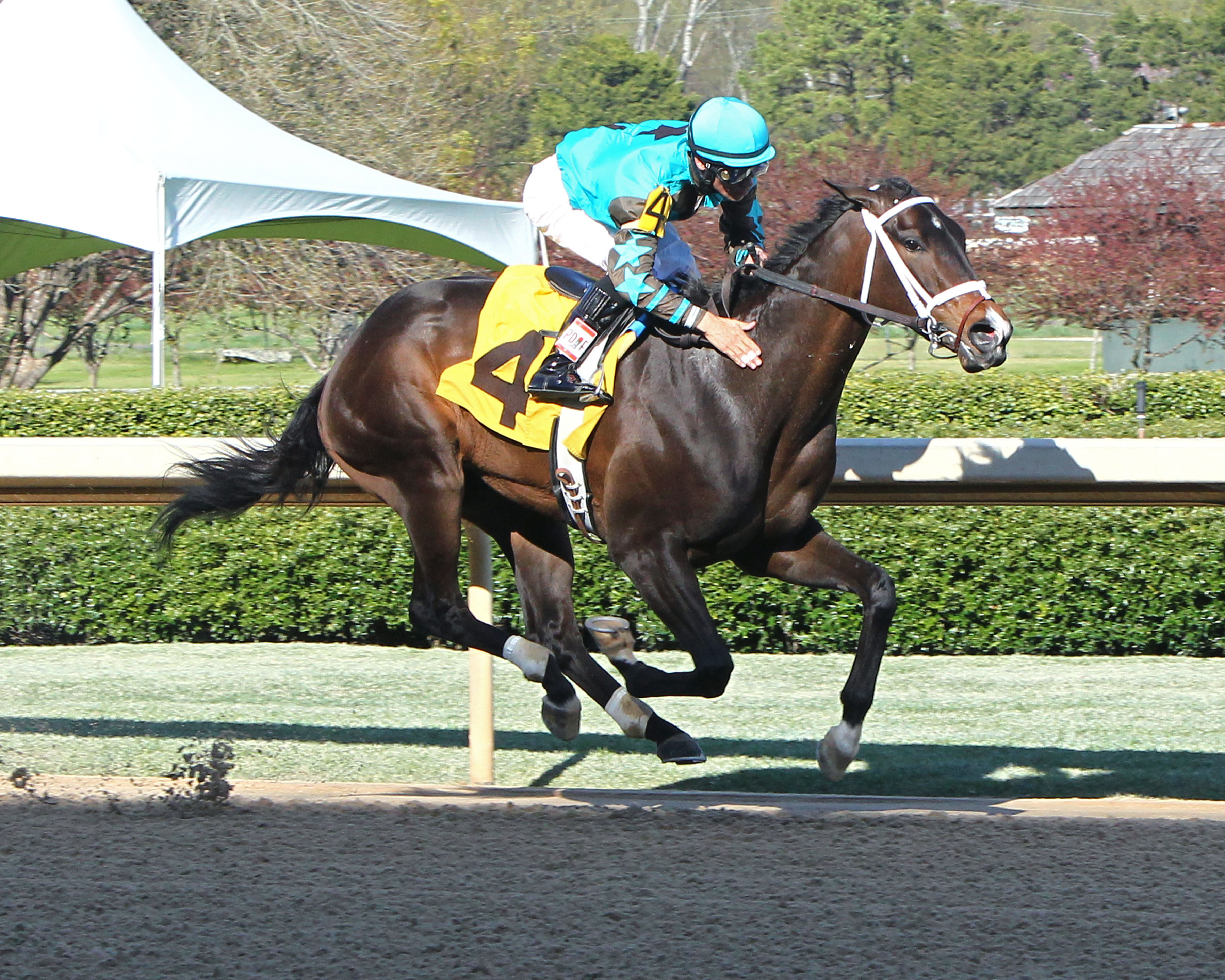 Weast Hill wins 2015 Rainbow