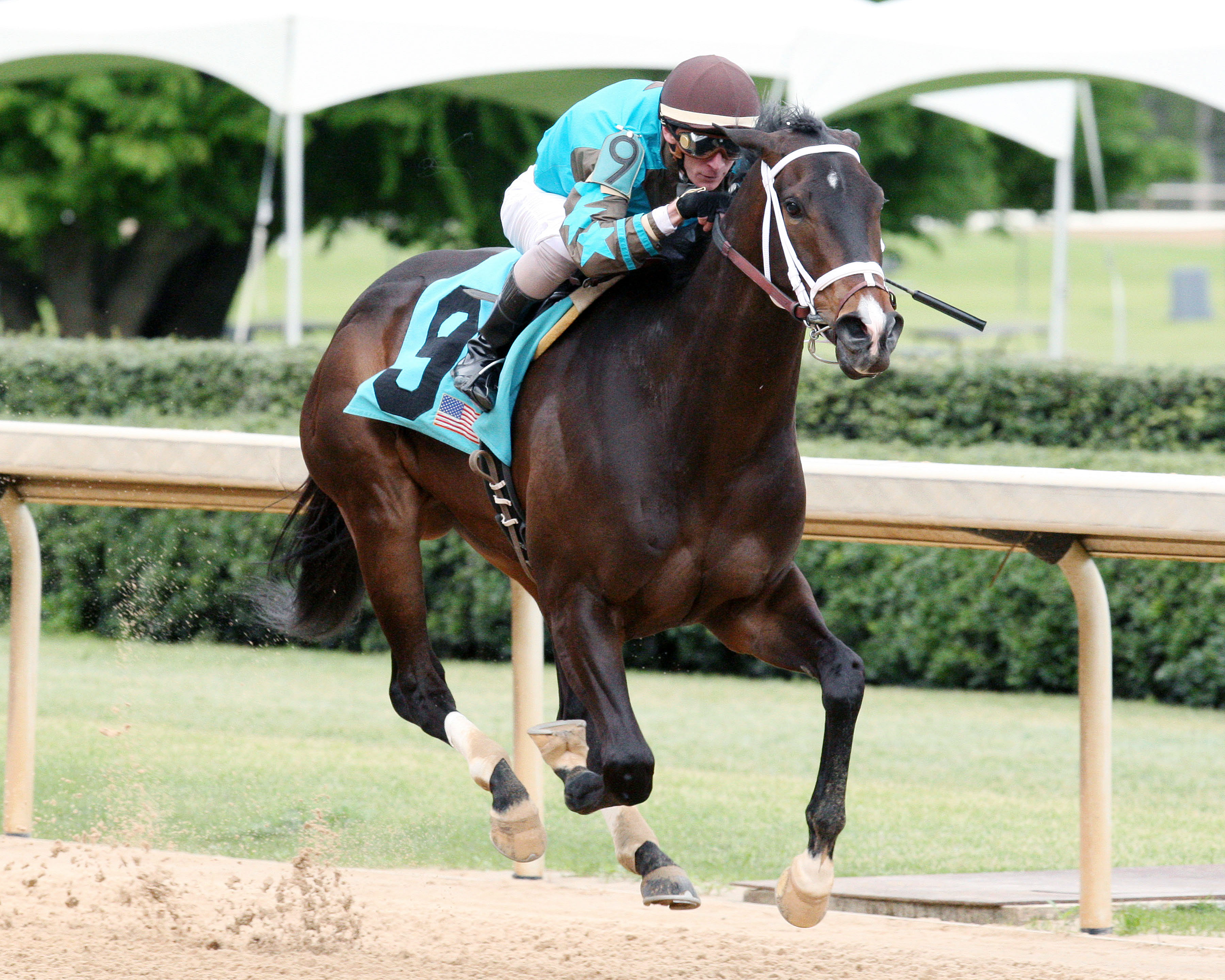 Weast Hill wins the Arkansas Breeders' Stakes