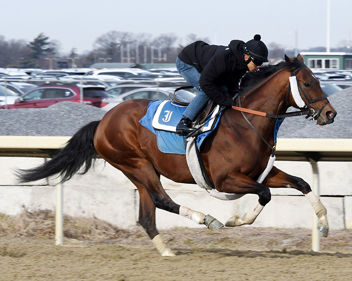 Weather Wiz works at Belmont Park on Feb. 23
