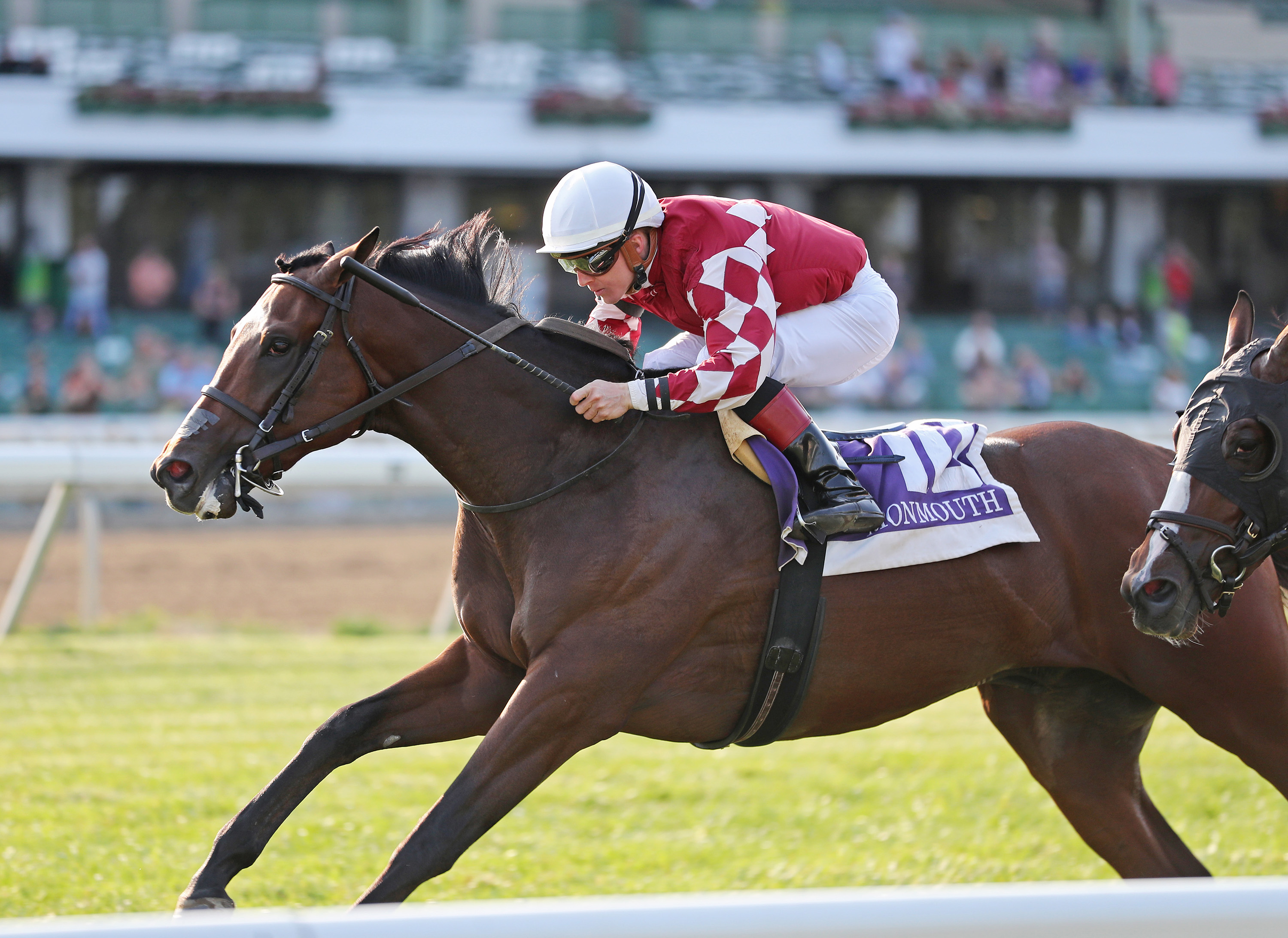 Webslinger wins the Nownownow at Monmouth Sept 17 2022