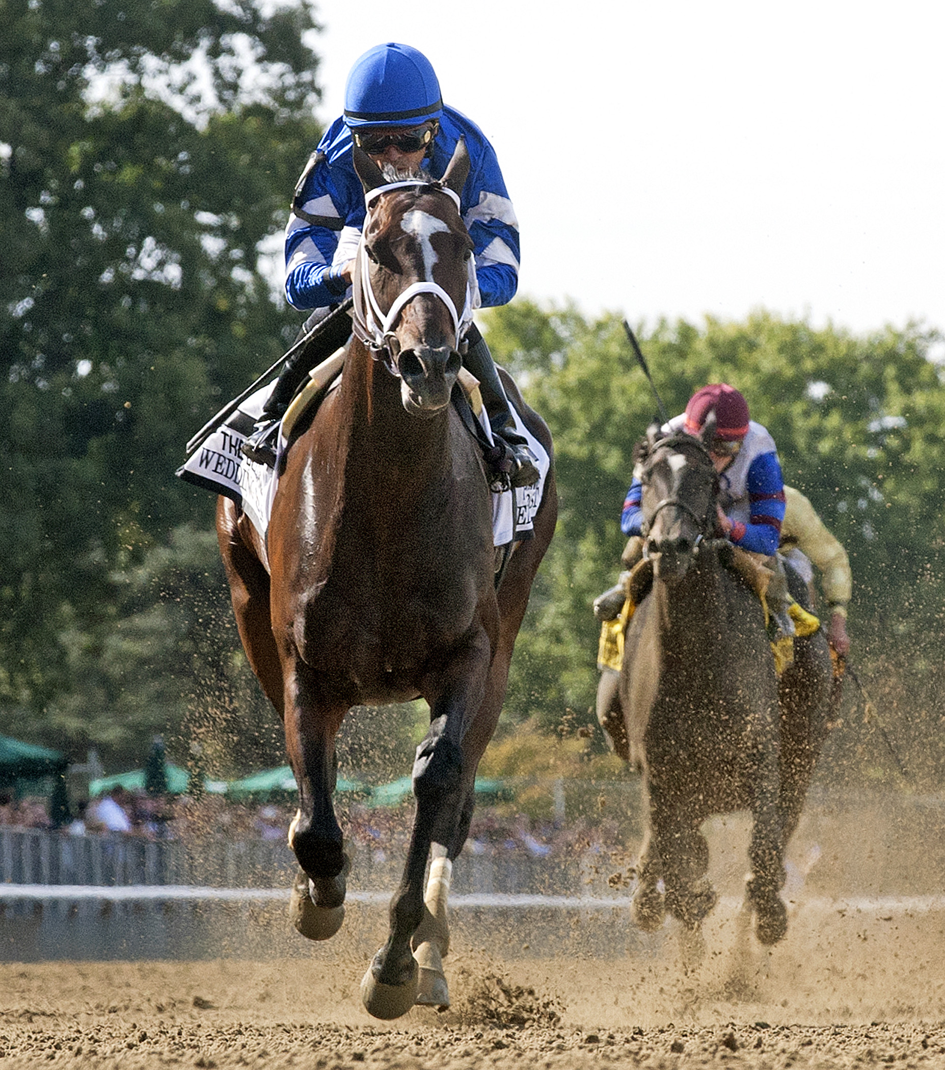 Wedding Toast wins 2015 Beldame