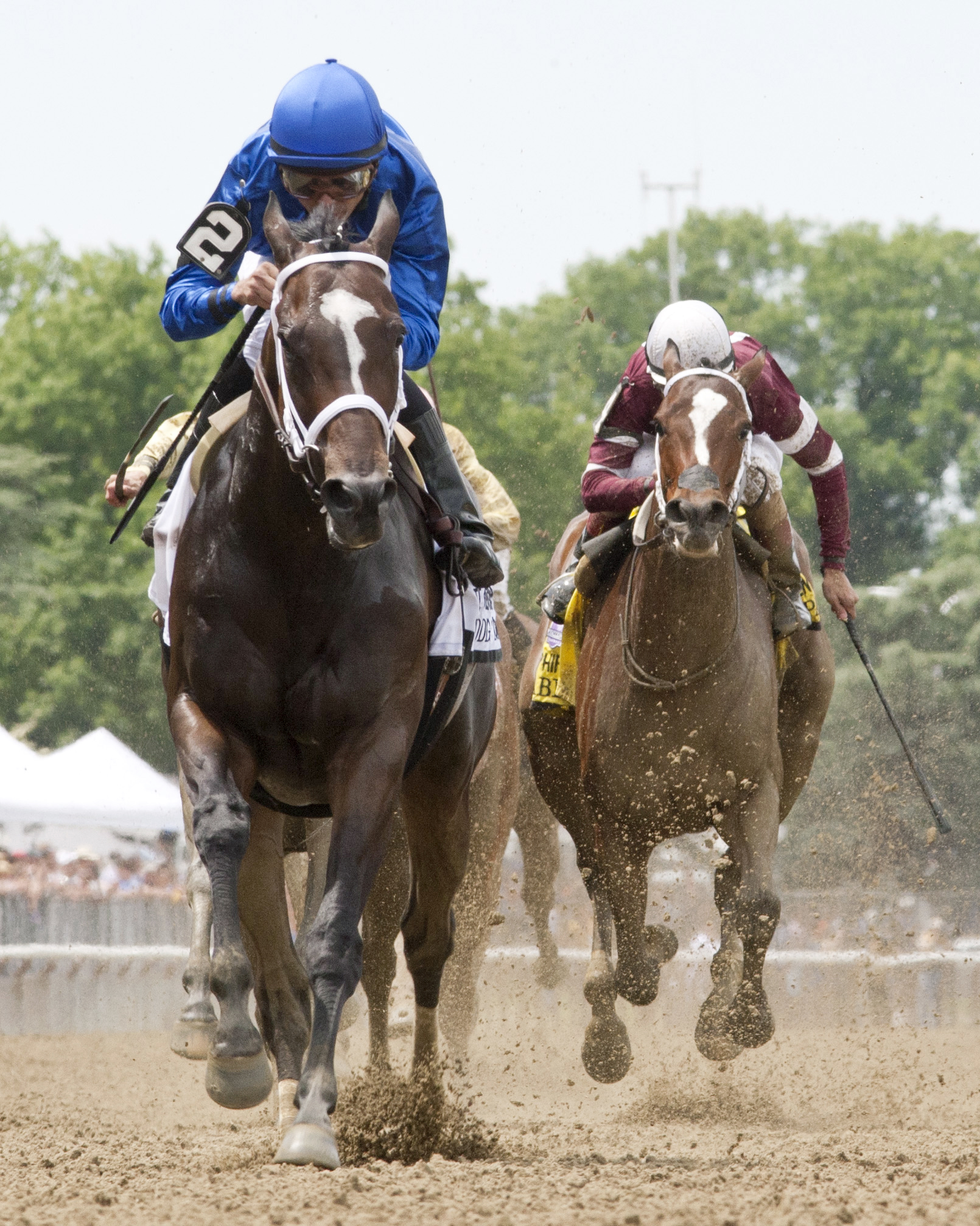 Wedding Toast wins the Ogden Phipps
