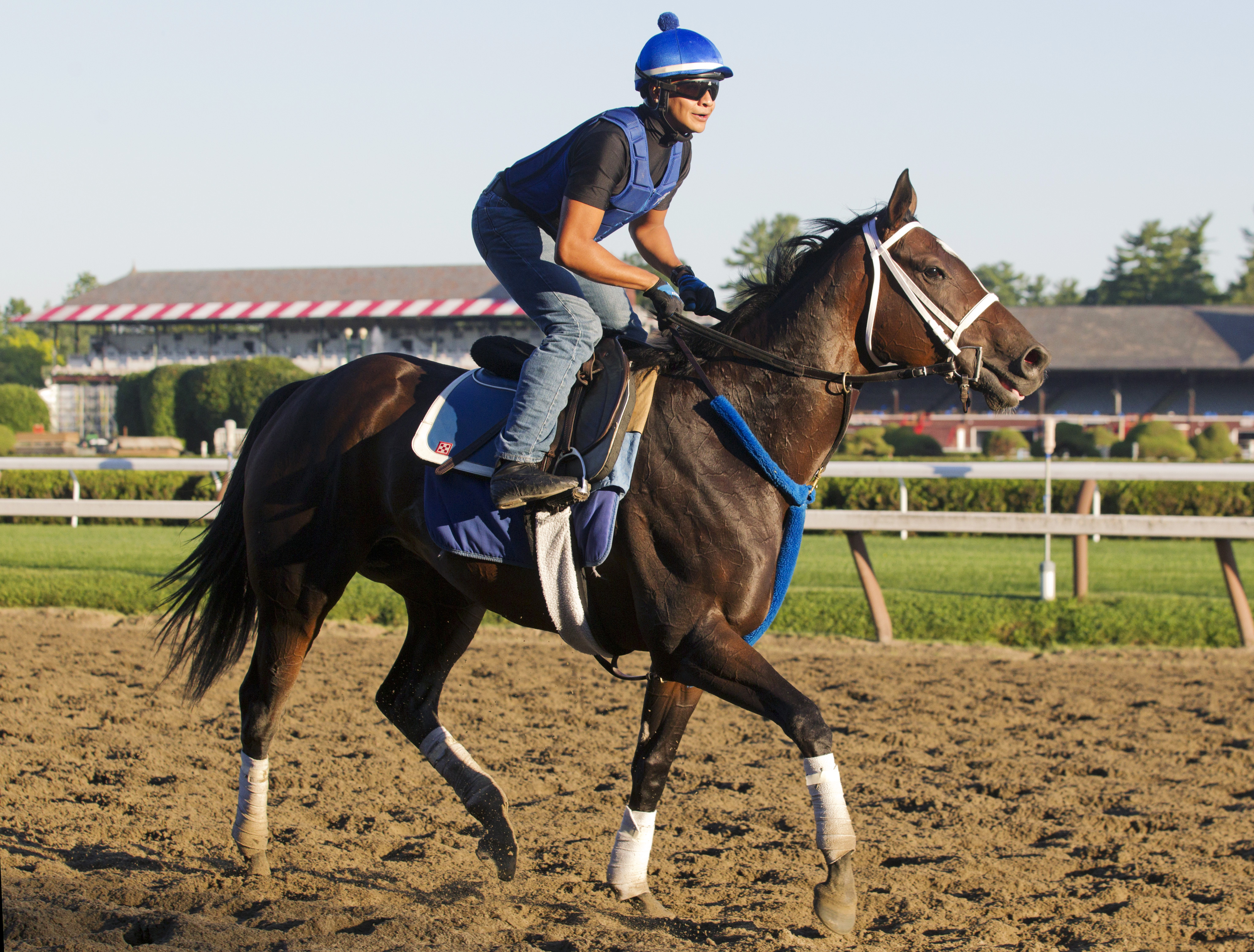 Wedding Toast at Saratoga on July 24