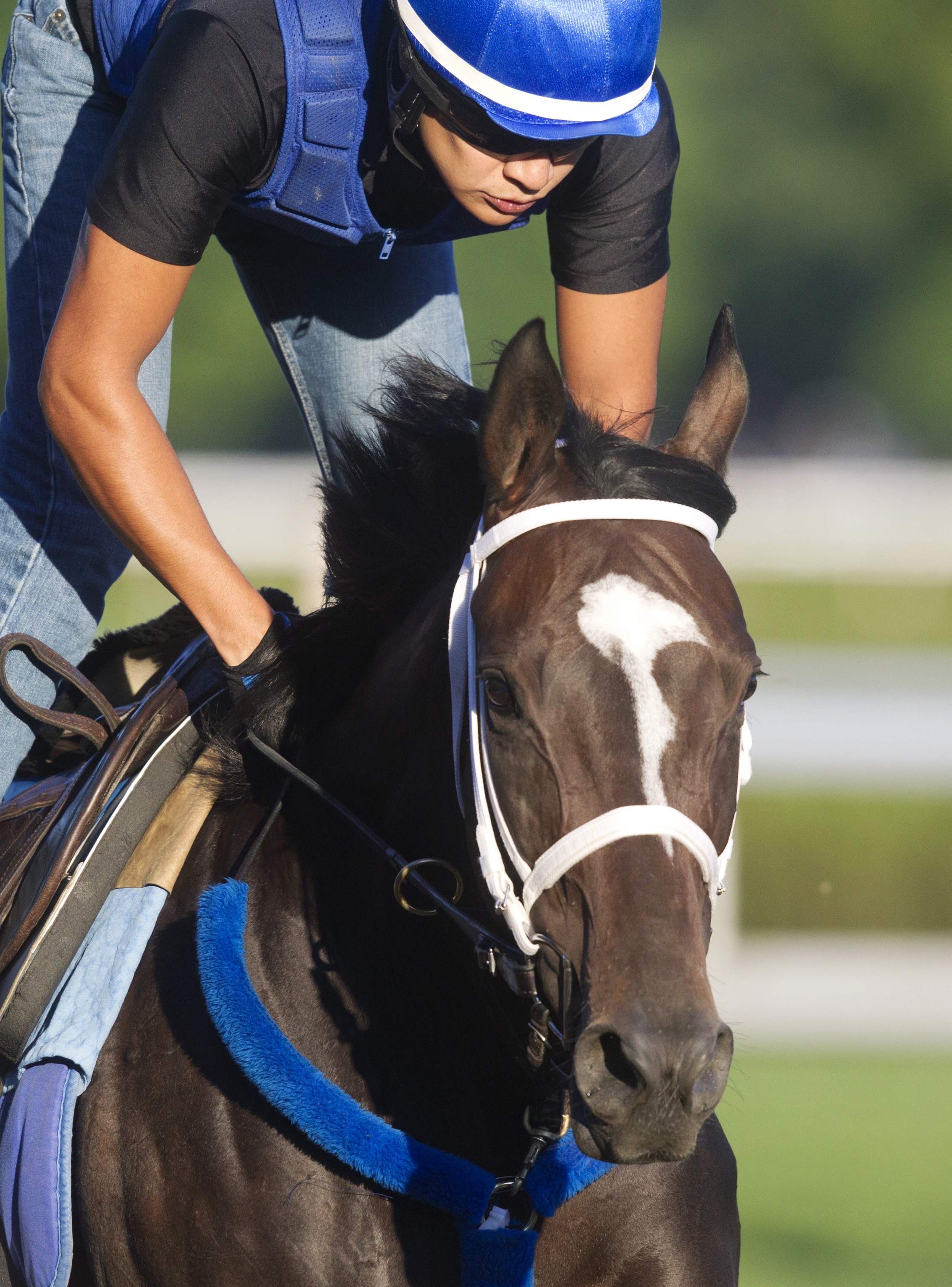 Wedding Toast at Saratoga on July 24
