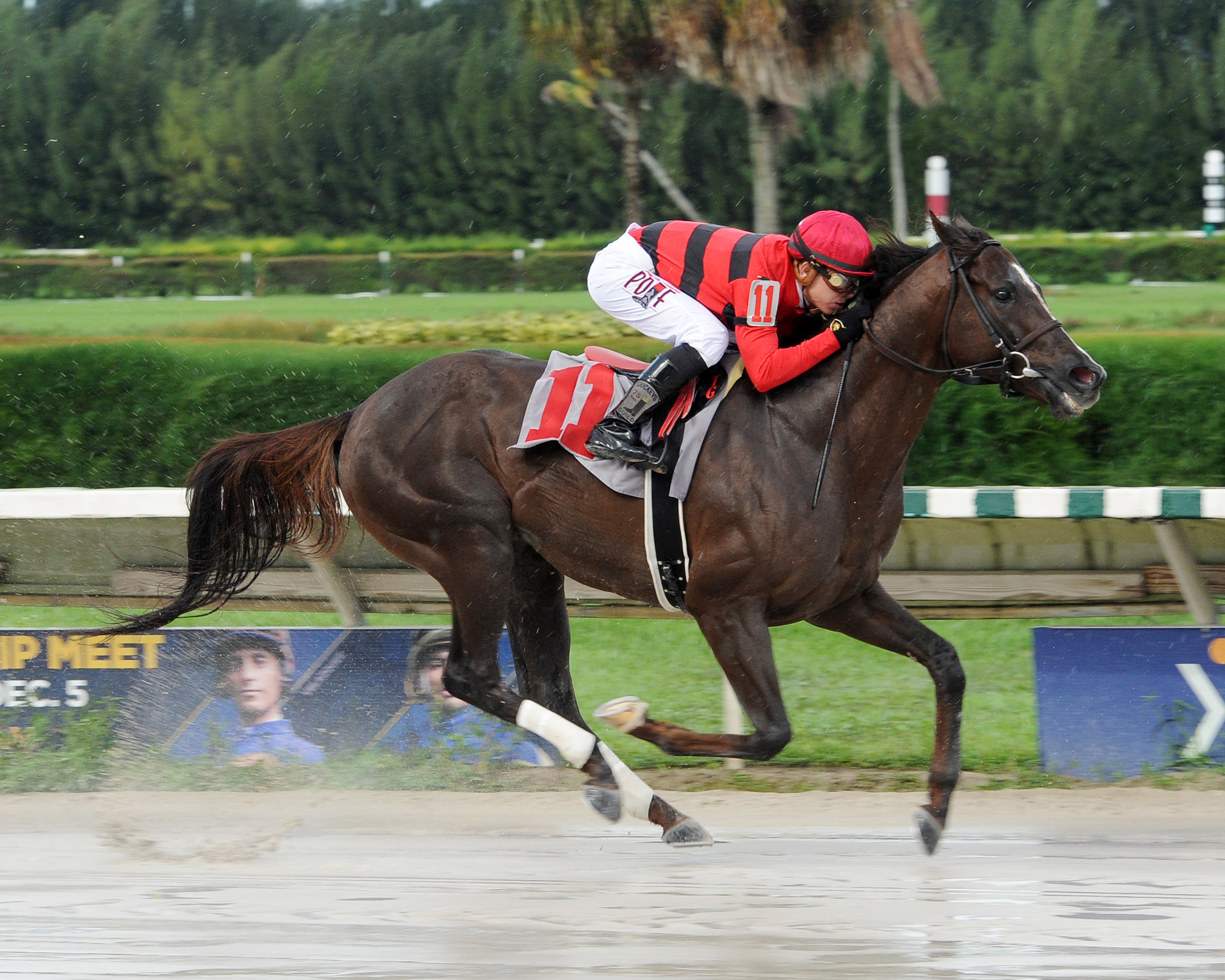 Weekend Hideaway wins an allowance race on Nov. 22