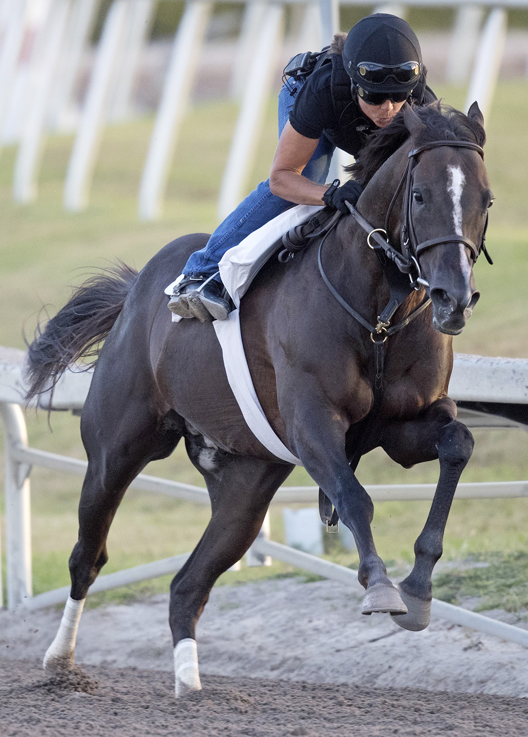 Weekend Hideaway trains at Gulfstream on March 25