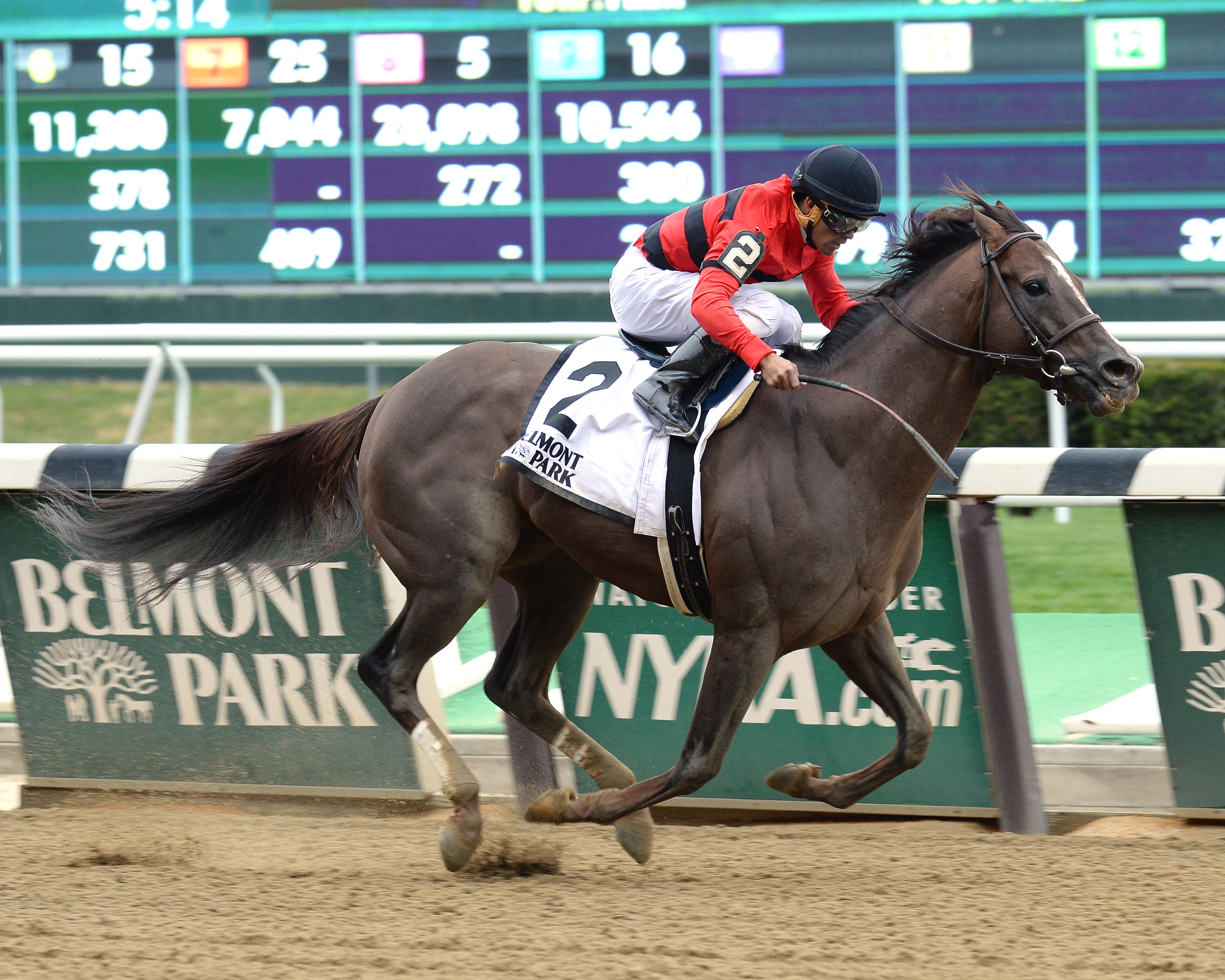 Weekend Hideaway wins the Affirmed Success