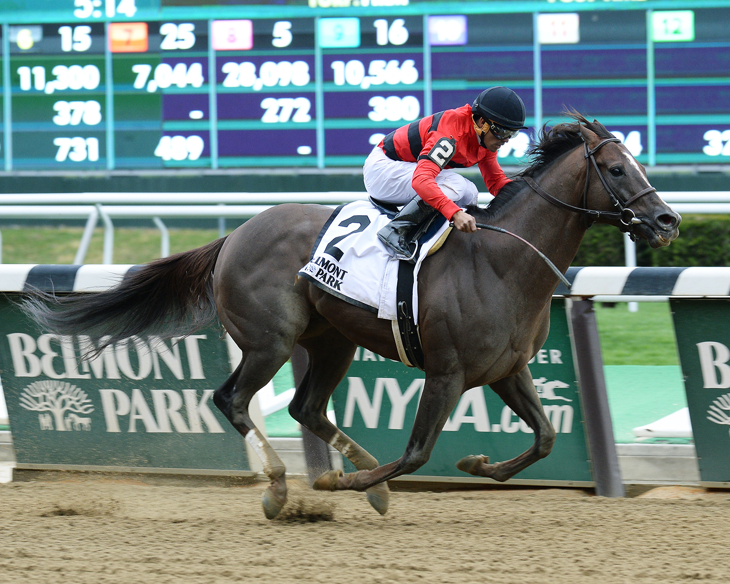 Weekend Hideaway wins the 2016 Affirmed Success Stakes