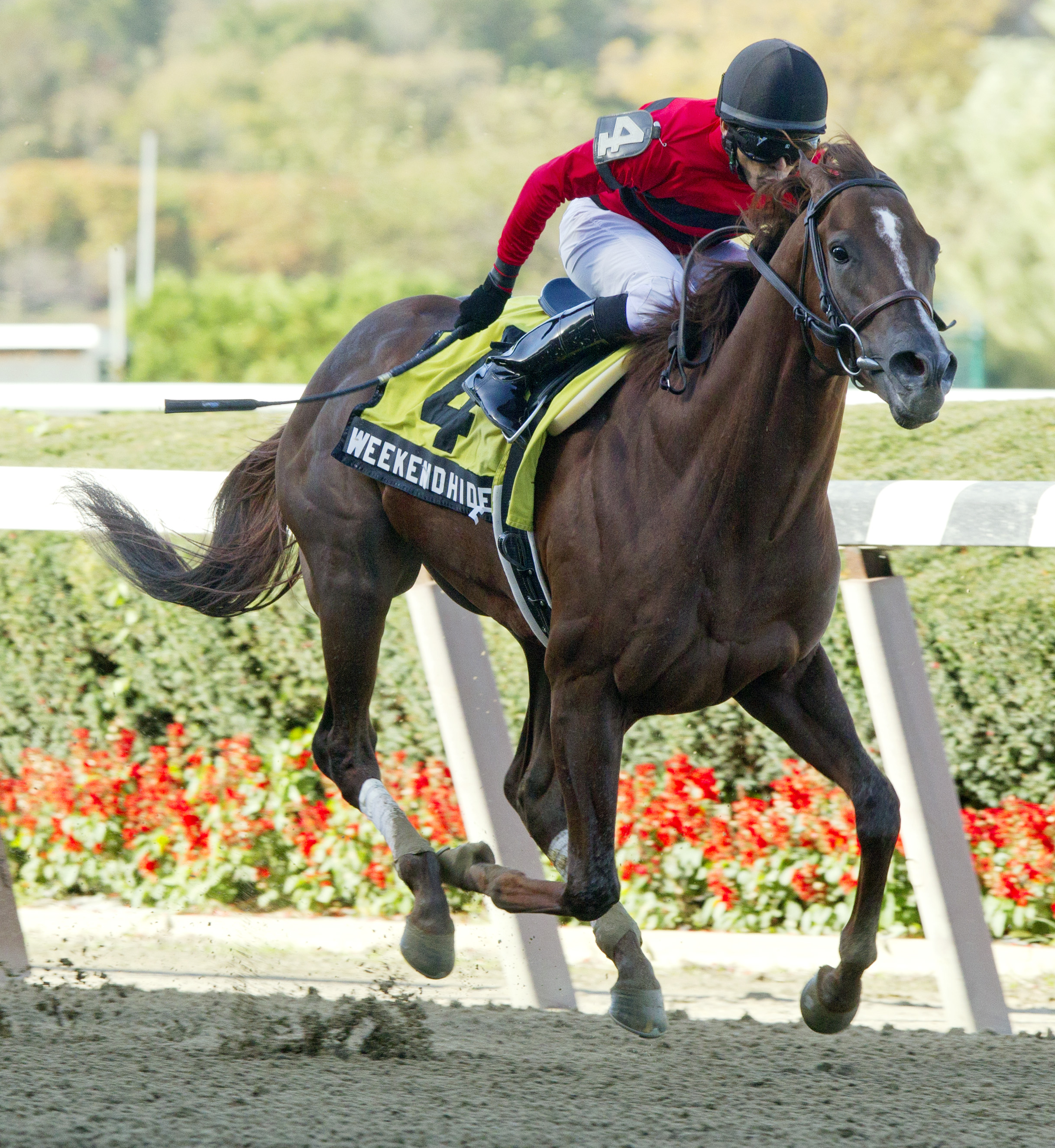 Weekend Hideaway, Bongard Stakes