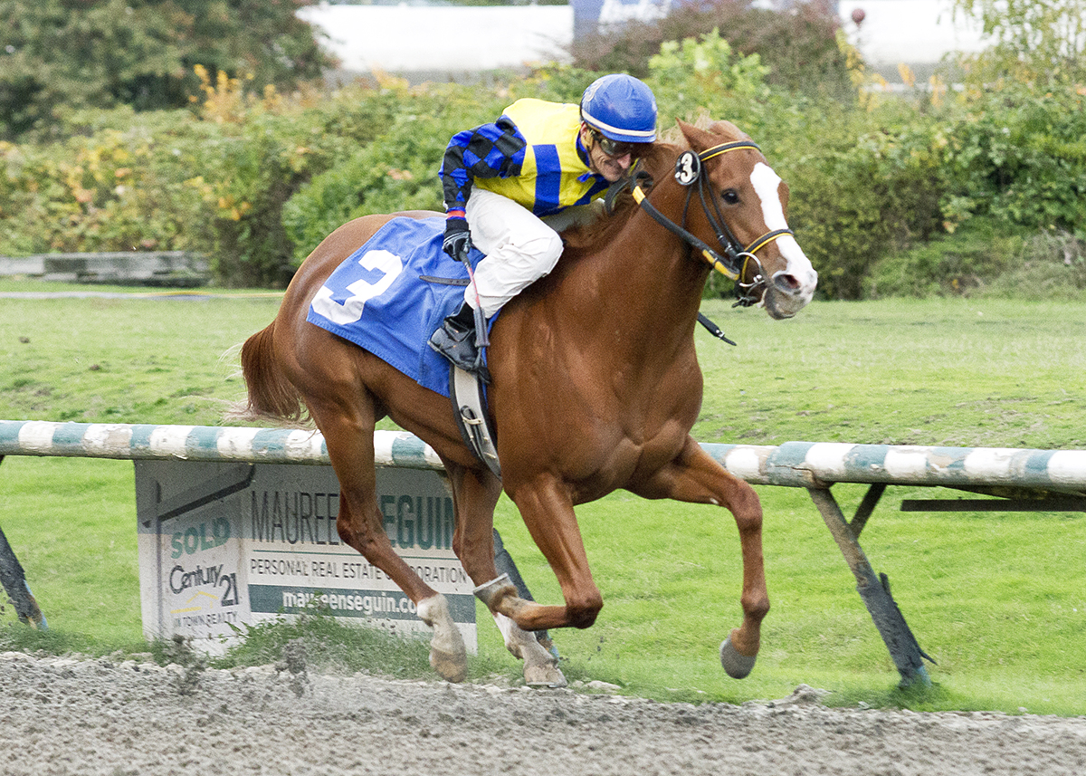 Weekend Wizard wins the 2017 British Columbia Cup Nursery