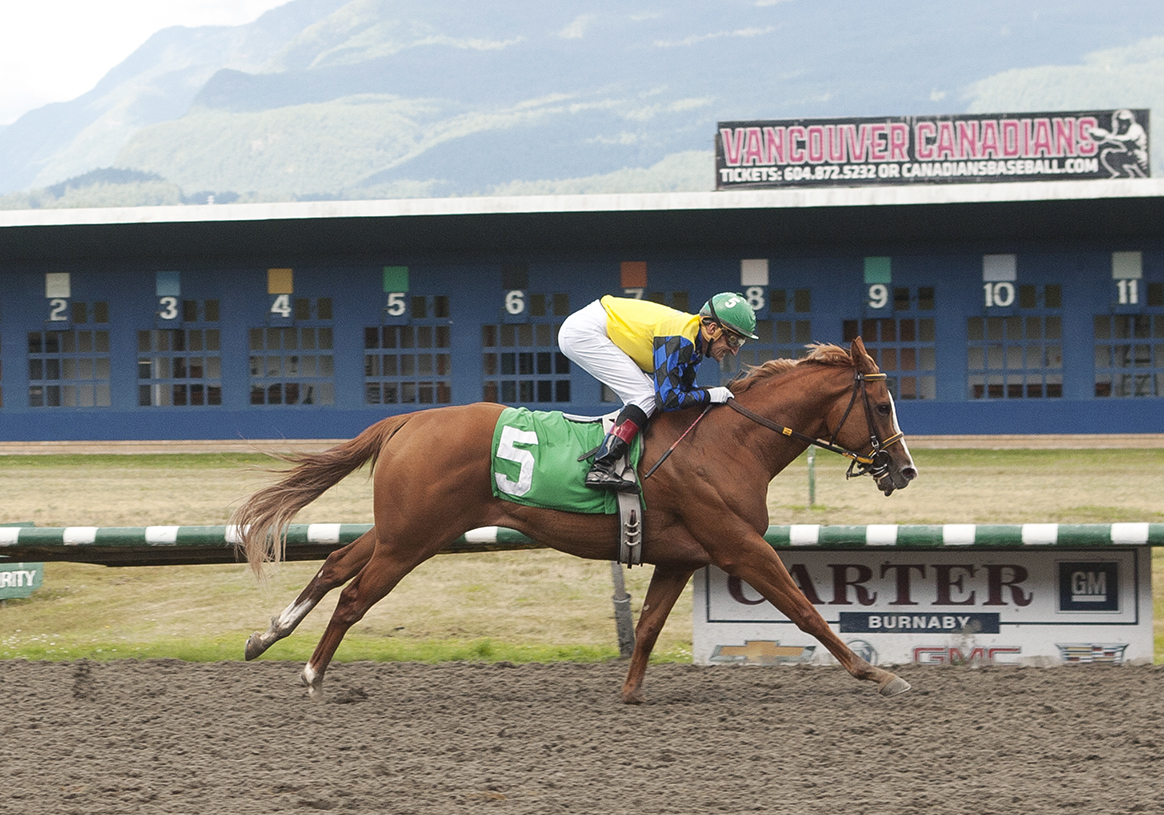 Weekend Wizard wins the 2018 Chris Loseth Stakes