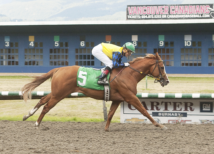 Weekend Wizard wins the 2018 Chris Loseth Handicap