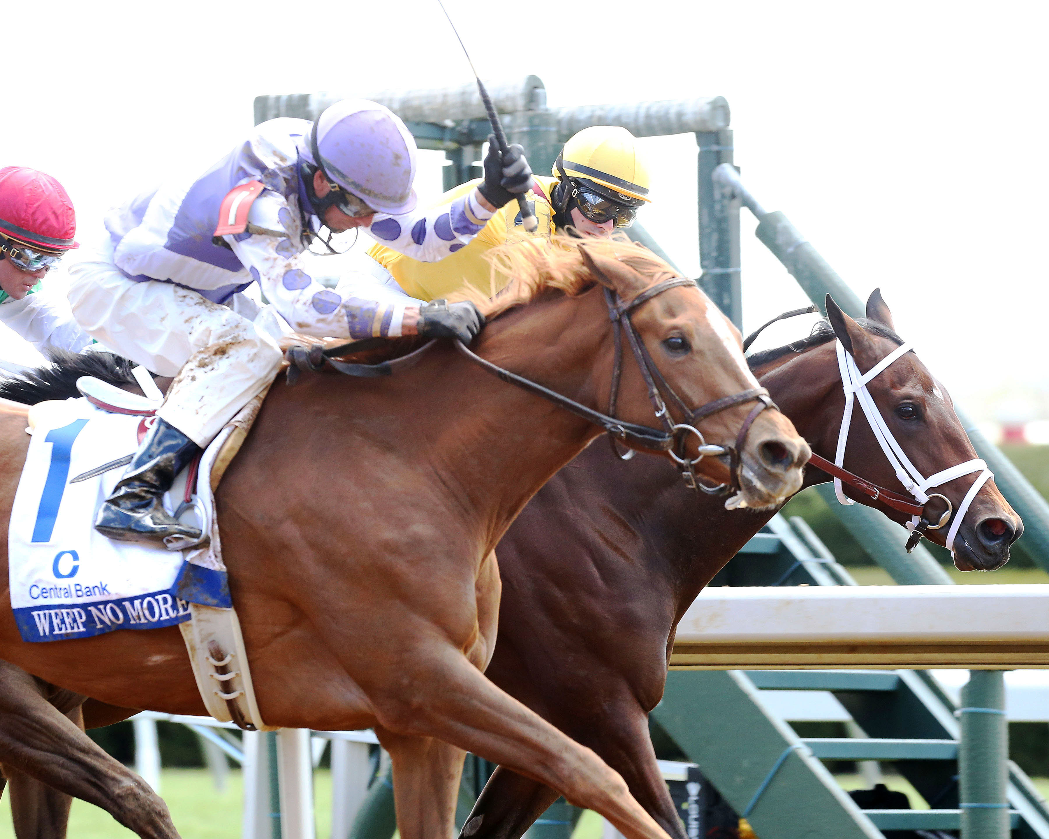 Weep No More wins the Ashland