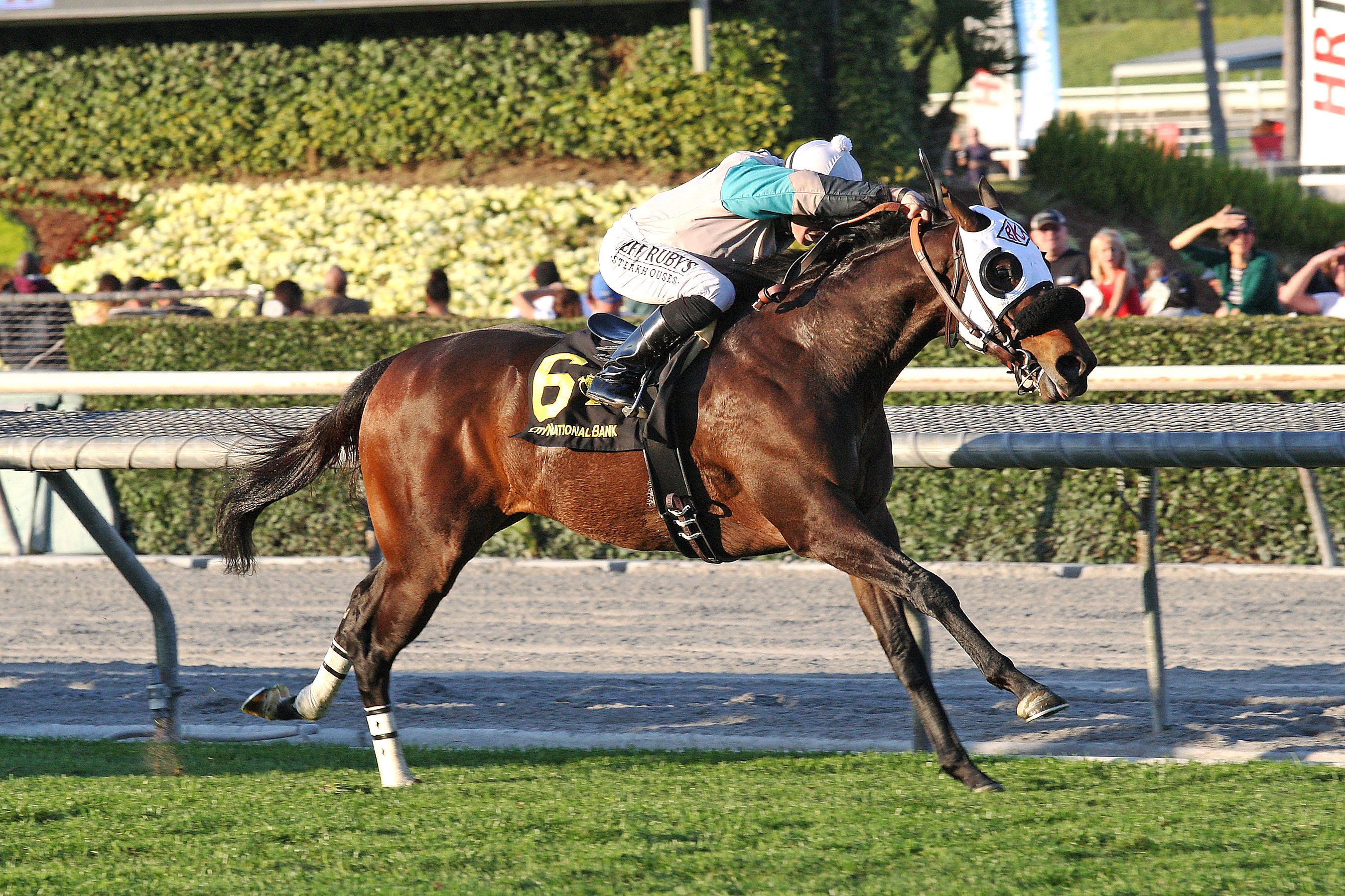 Weewinnin wins the California Cup Turf Classic