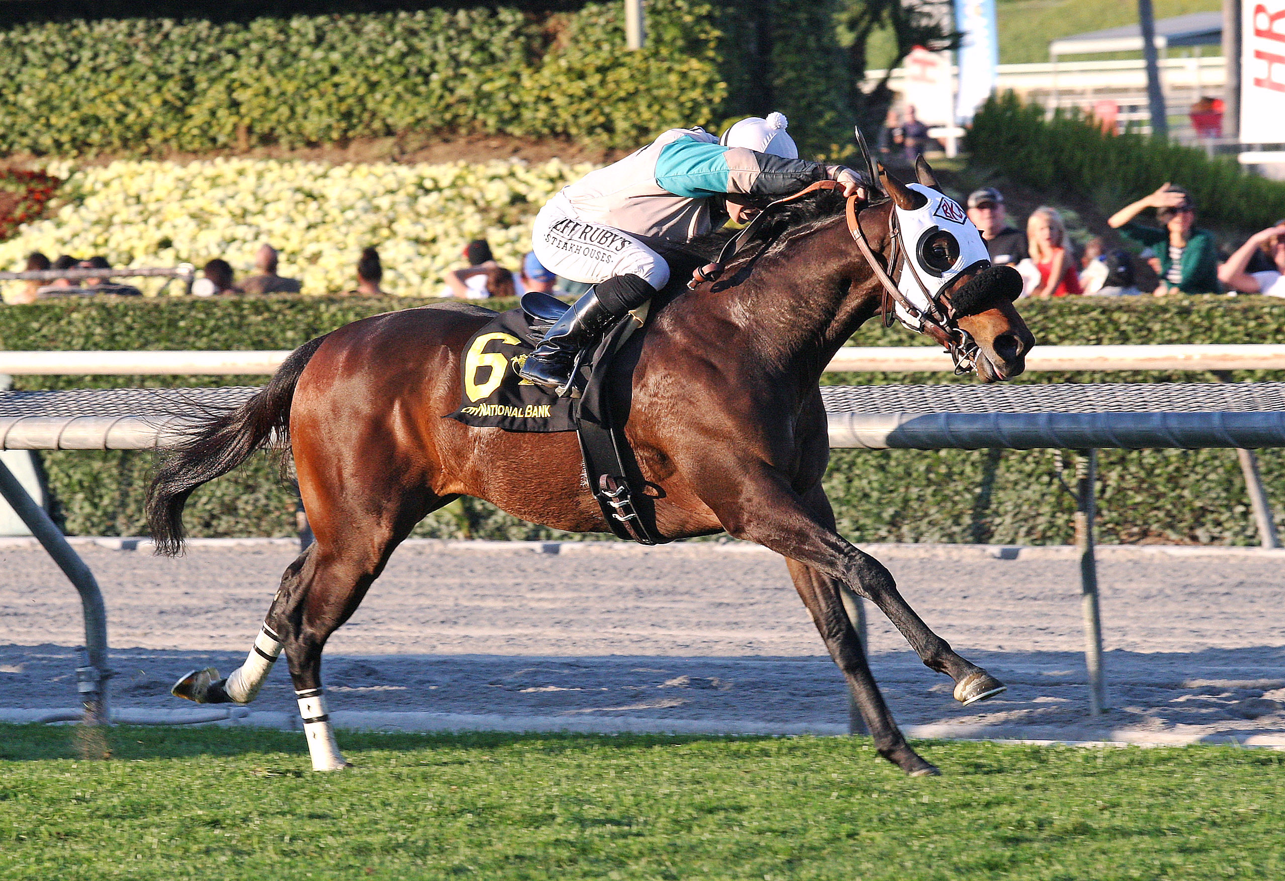 Weewinnin wins the California Cup Turf Classic