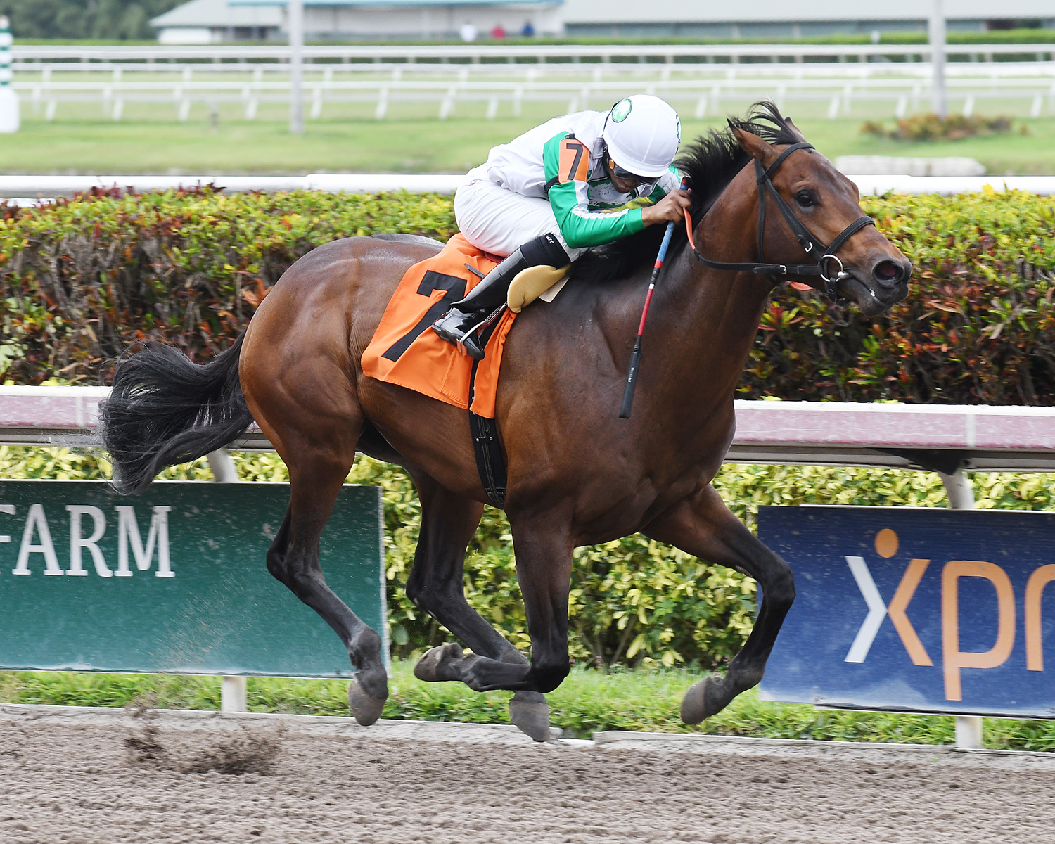 Weisser wins a May 12 maiden race