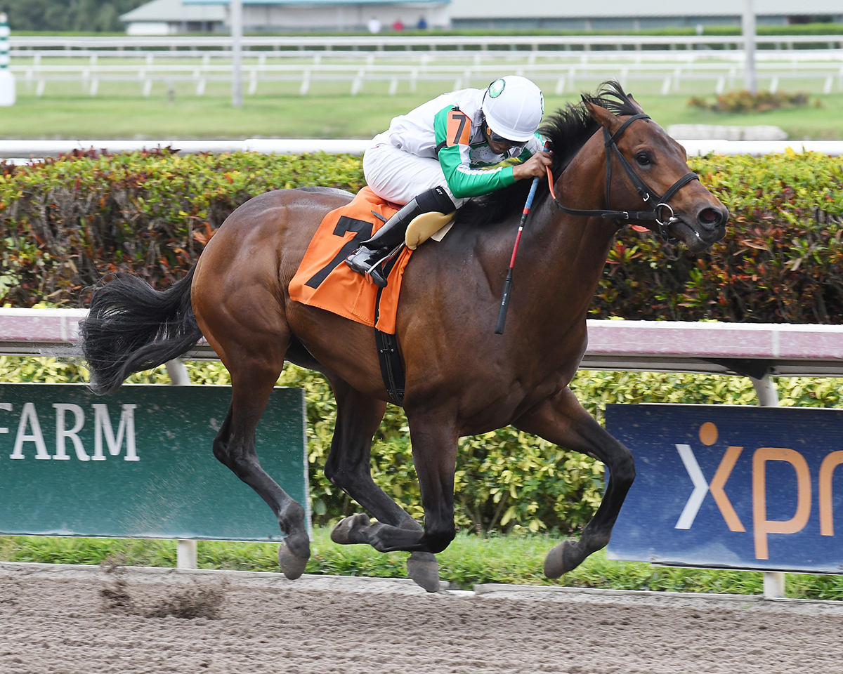 Weisser wins a May 12 maiden race