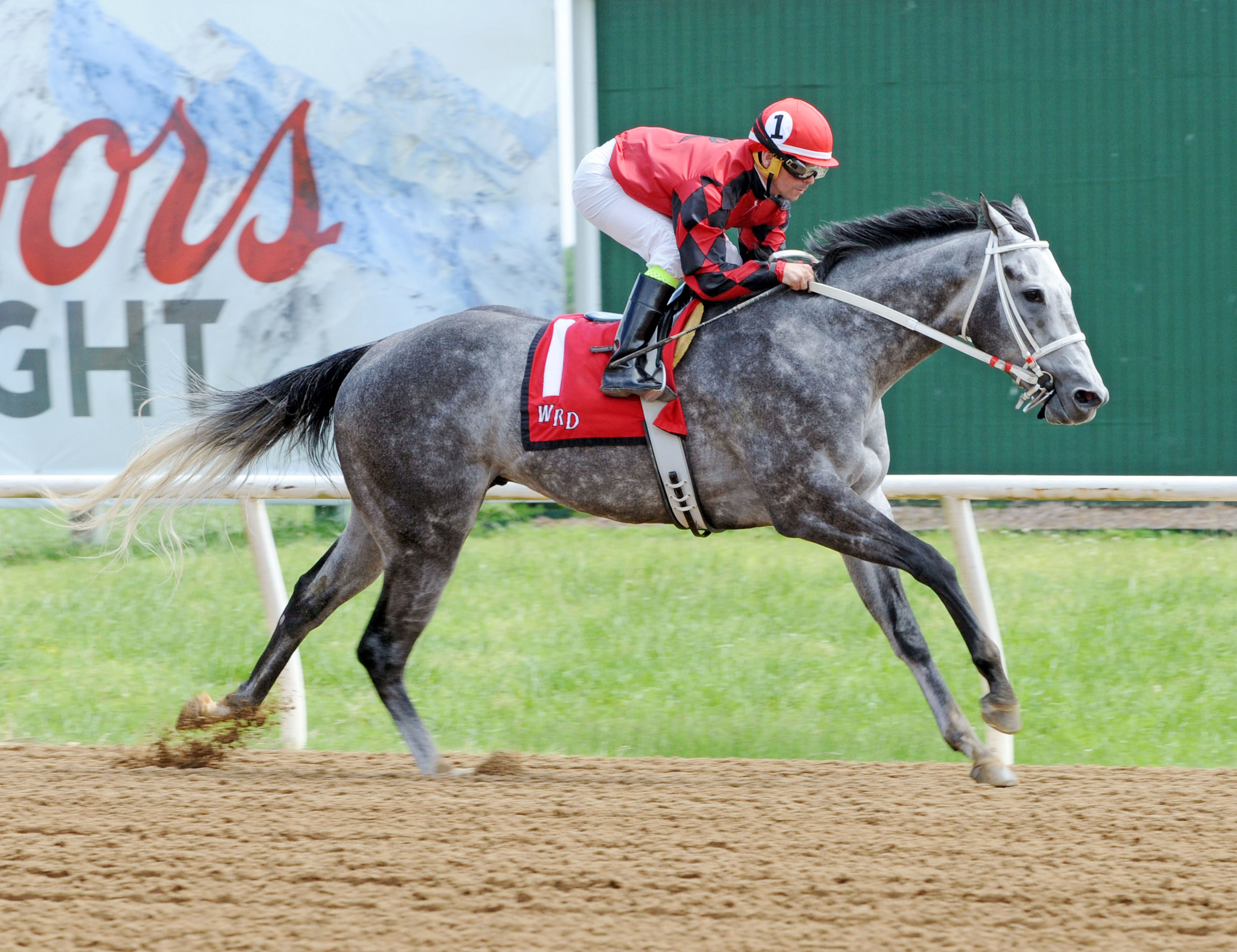 Welder wins the 2017 TRAO Classic Sprint Stakes