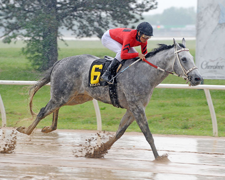 Welder wins the 2019 TRAO Classic Sprint Stakes