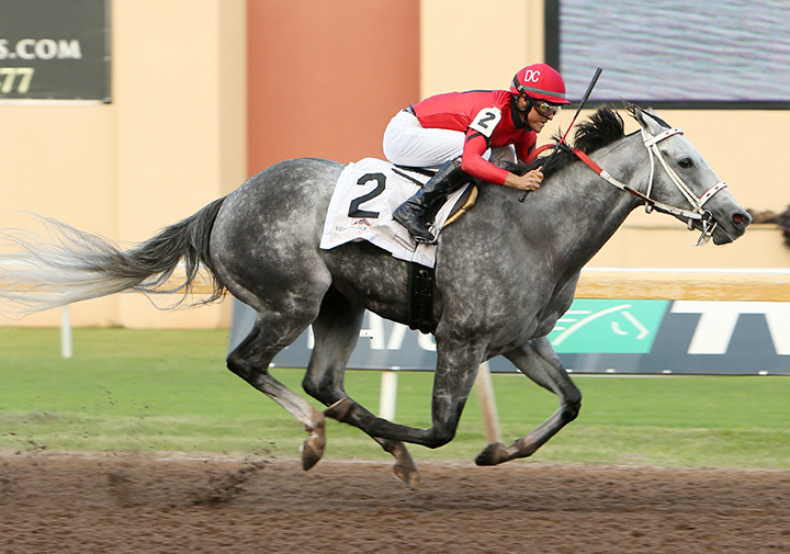 Welder wins the David M. Vance Stakes