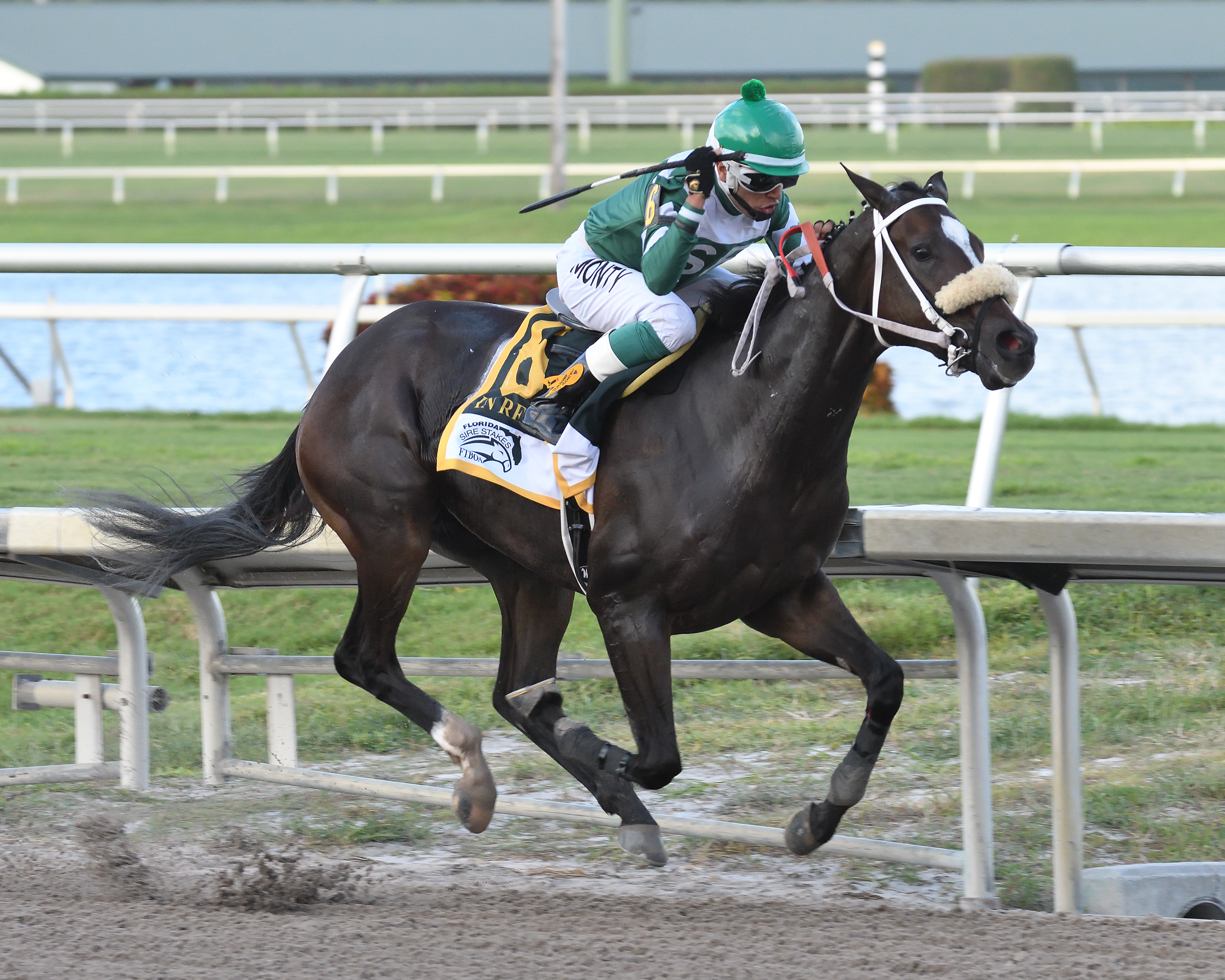 Well Defined wins the 2018 FSS In Reality