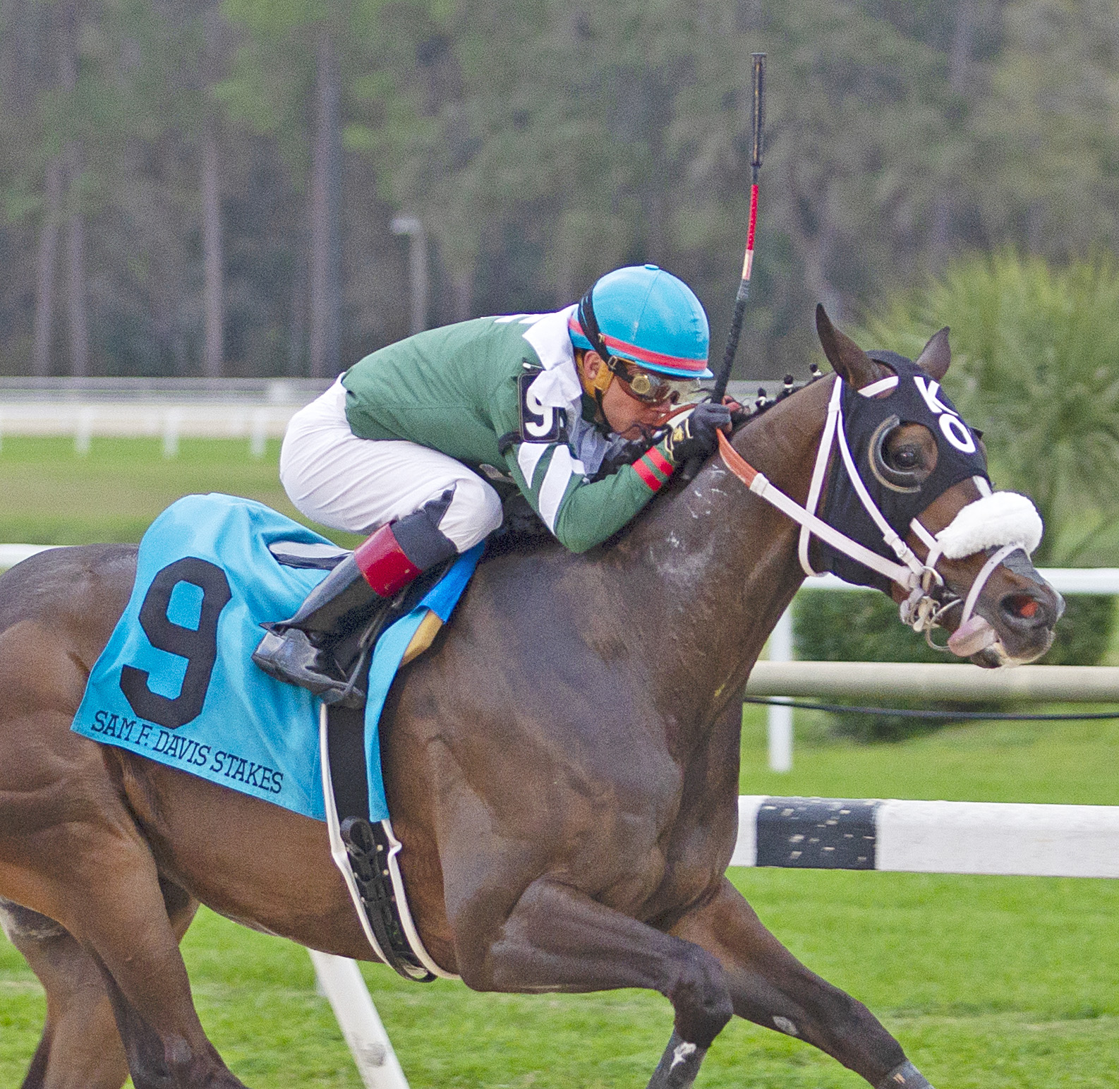 Well Defined wins the 2018 Sam F. Davis Stakes