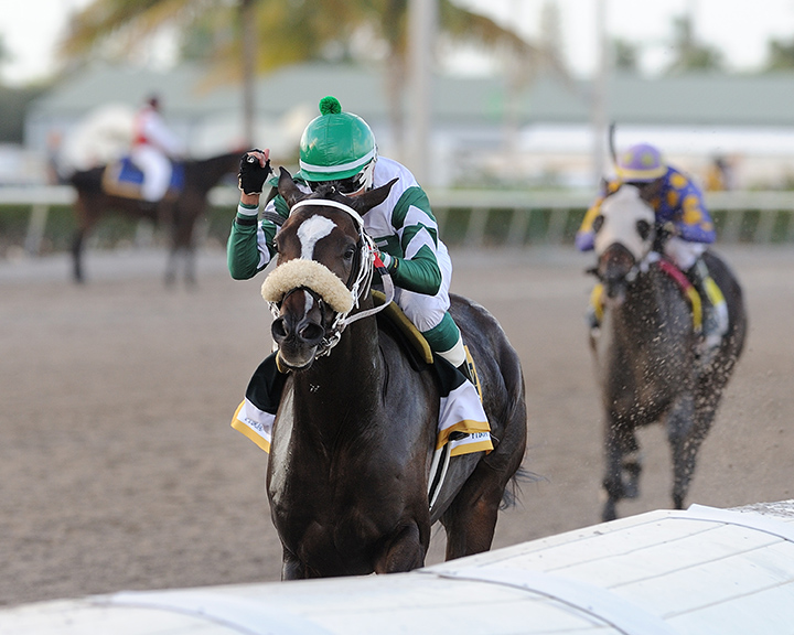 Well Defined wins the 2018 In Reality Stakes