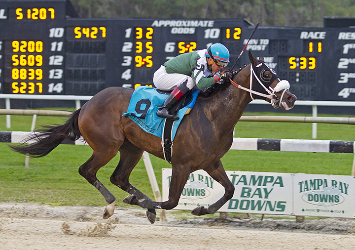 Well Defined wins the 2019 Sam F. Davis