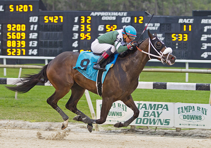 Well Defined wins the 2019 Sam F. Davis