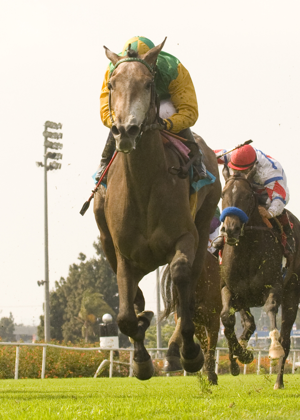 Well Monied/Honeymoon Handicap 2009