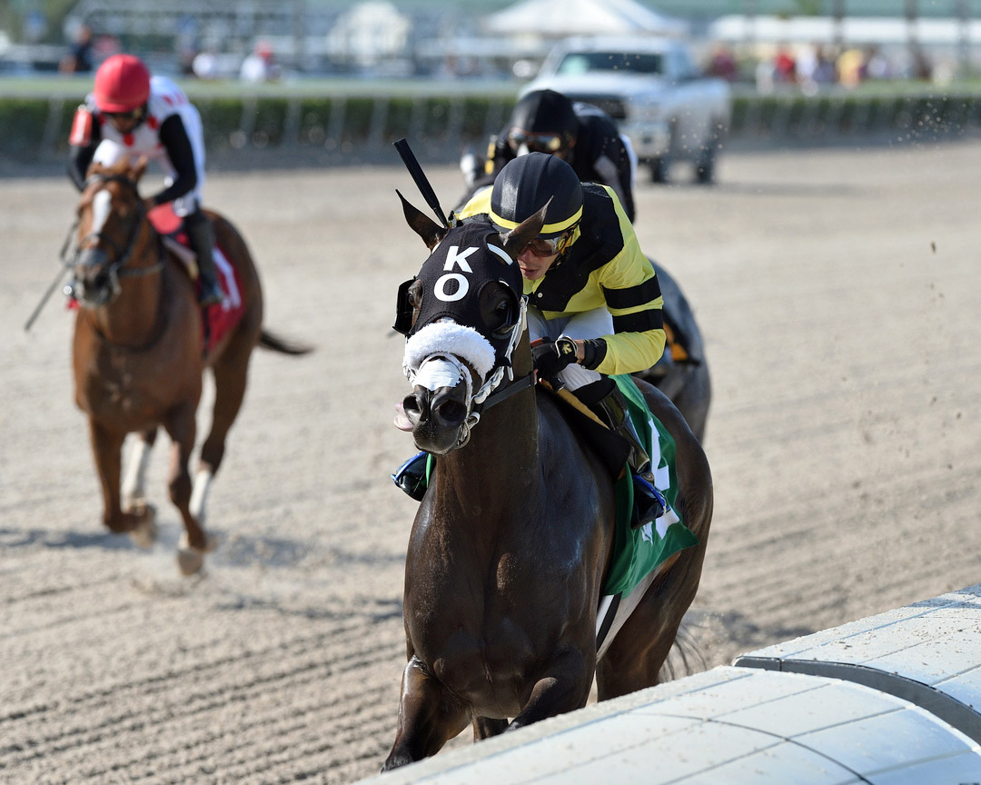 Well Defined wins the 2021 Big Drama Stakes at Gulfstream Park
