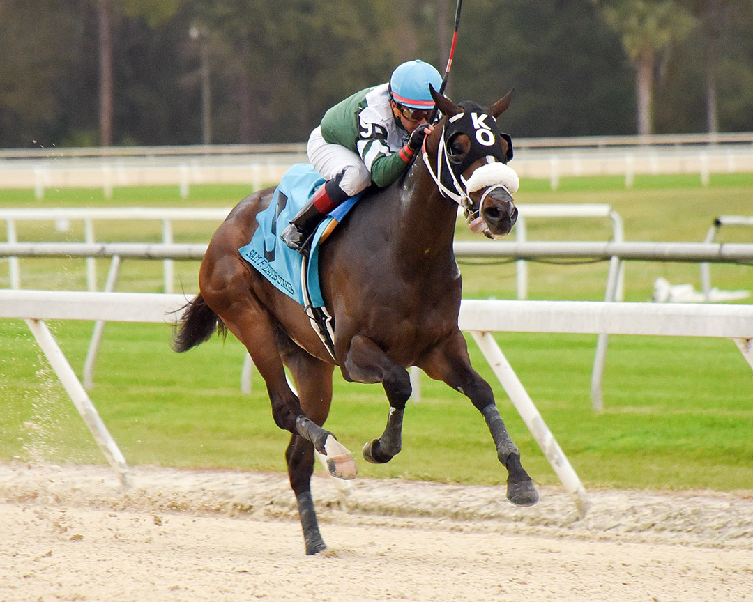 Well Defined wins the 2019 Sam F. Davis Stakes at Tampa Bay Downs