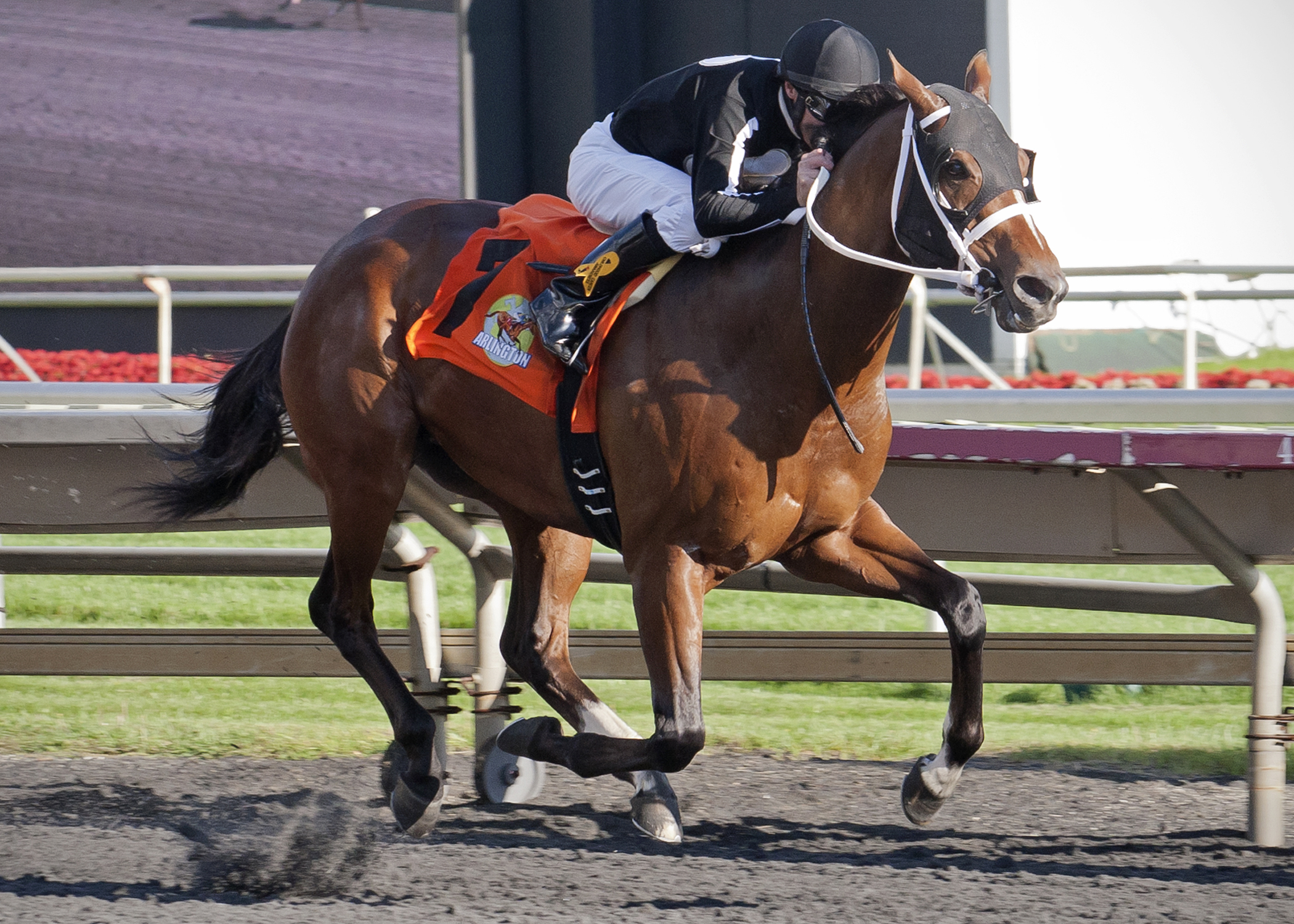 Wellabled wins the Arlington-Washington Futurity