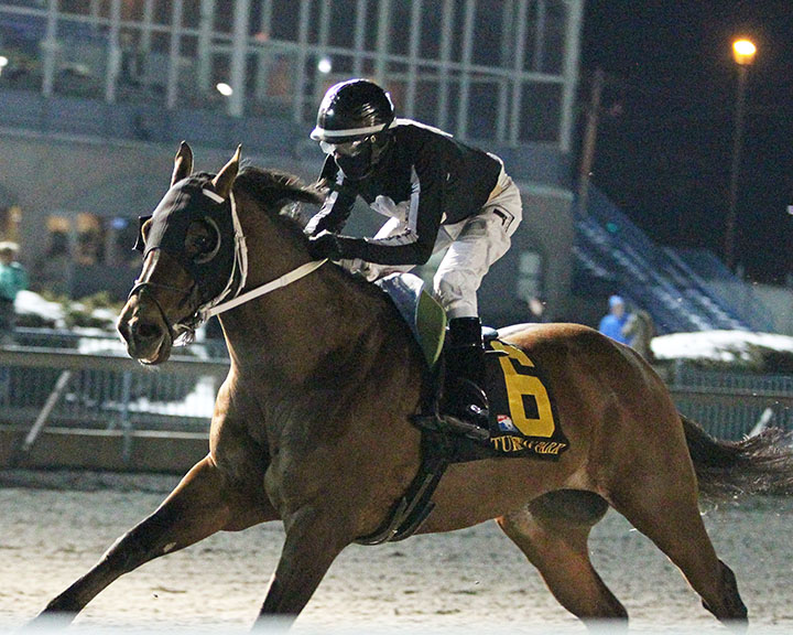 Wellabled wins the 2018 Forego at Turfway Park
