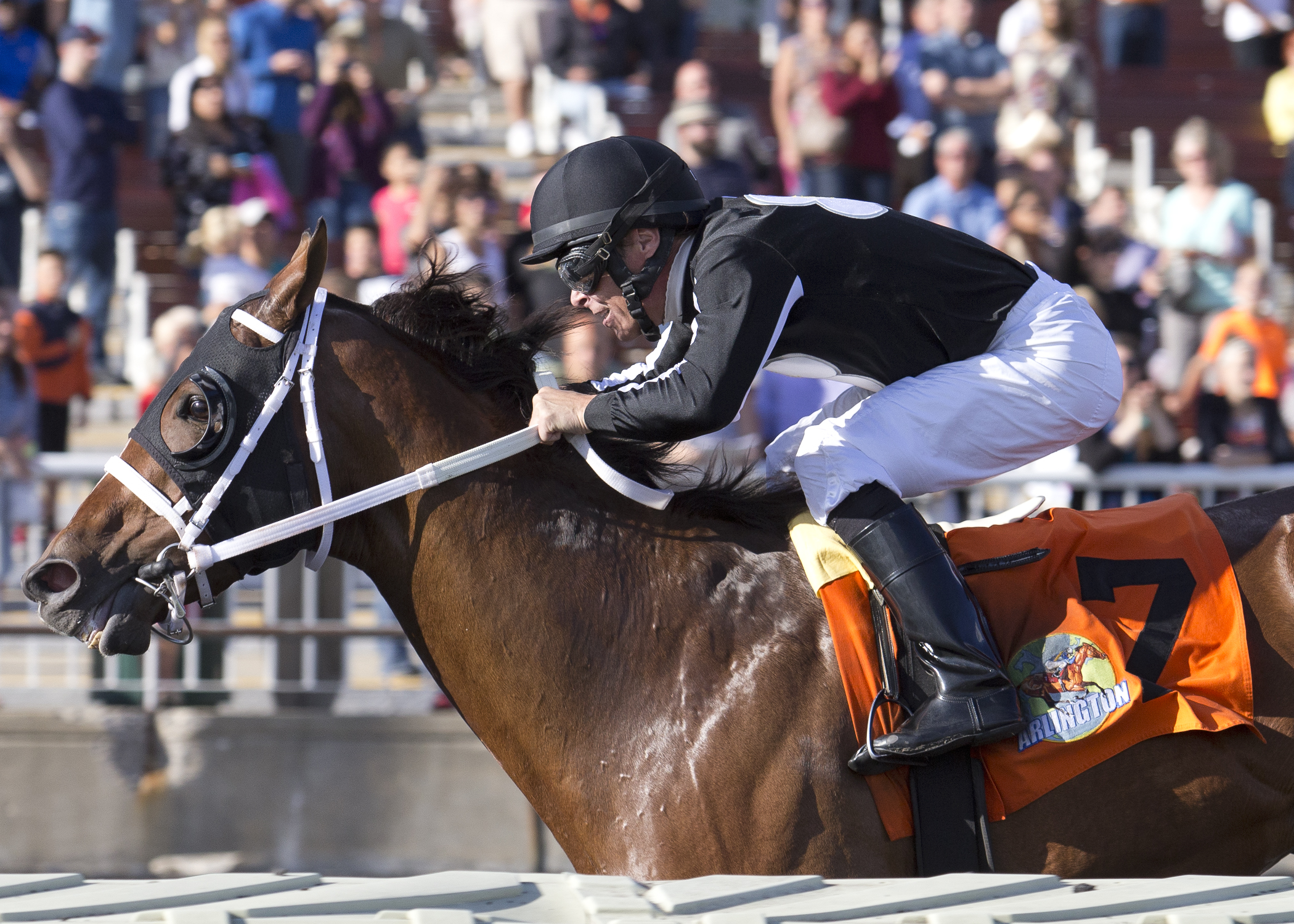 Wellabled wins the Arlington-Washington Futurity