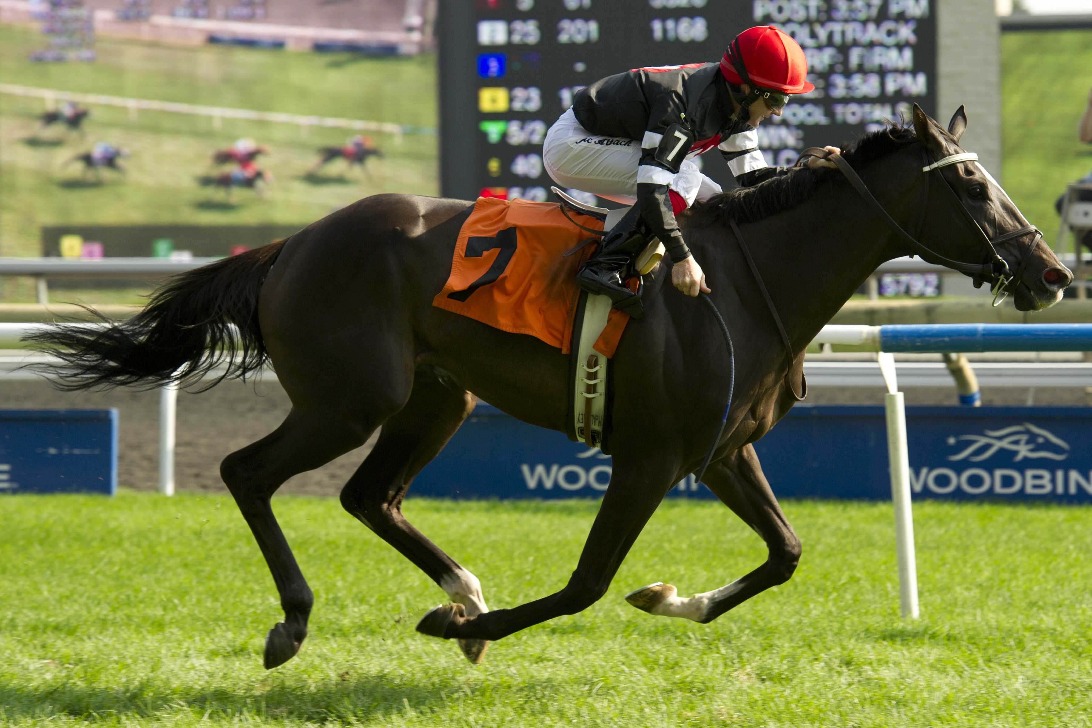 Welloiledmachine/Halton Stakes